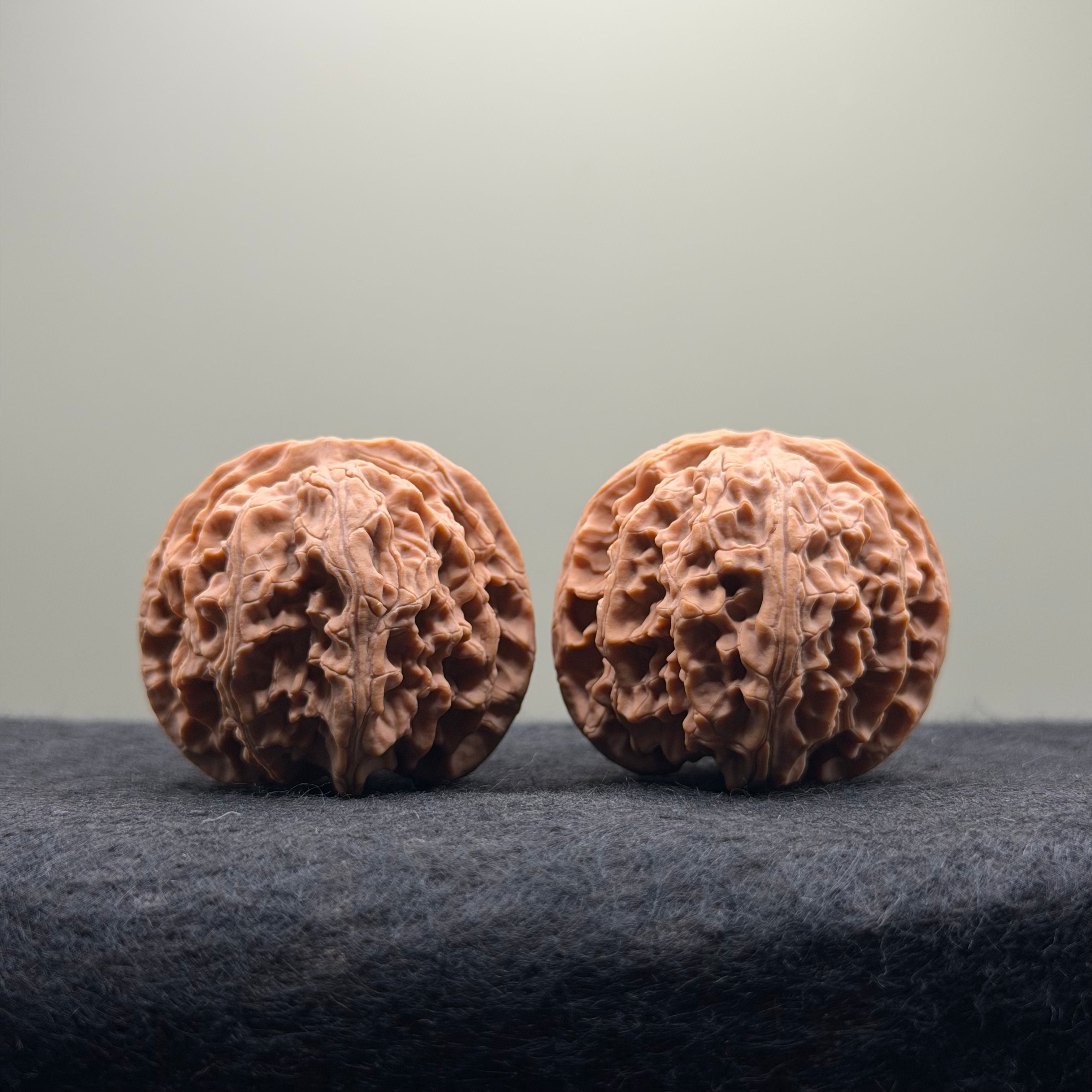 Apple Orchard Wenwan Walnut · 39mm · Natural · Select Ritual