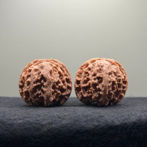 Apple Orchard Wenwan Walnut · 39mm · Natural · Select Ritual