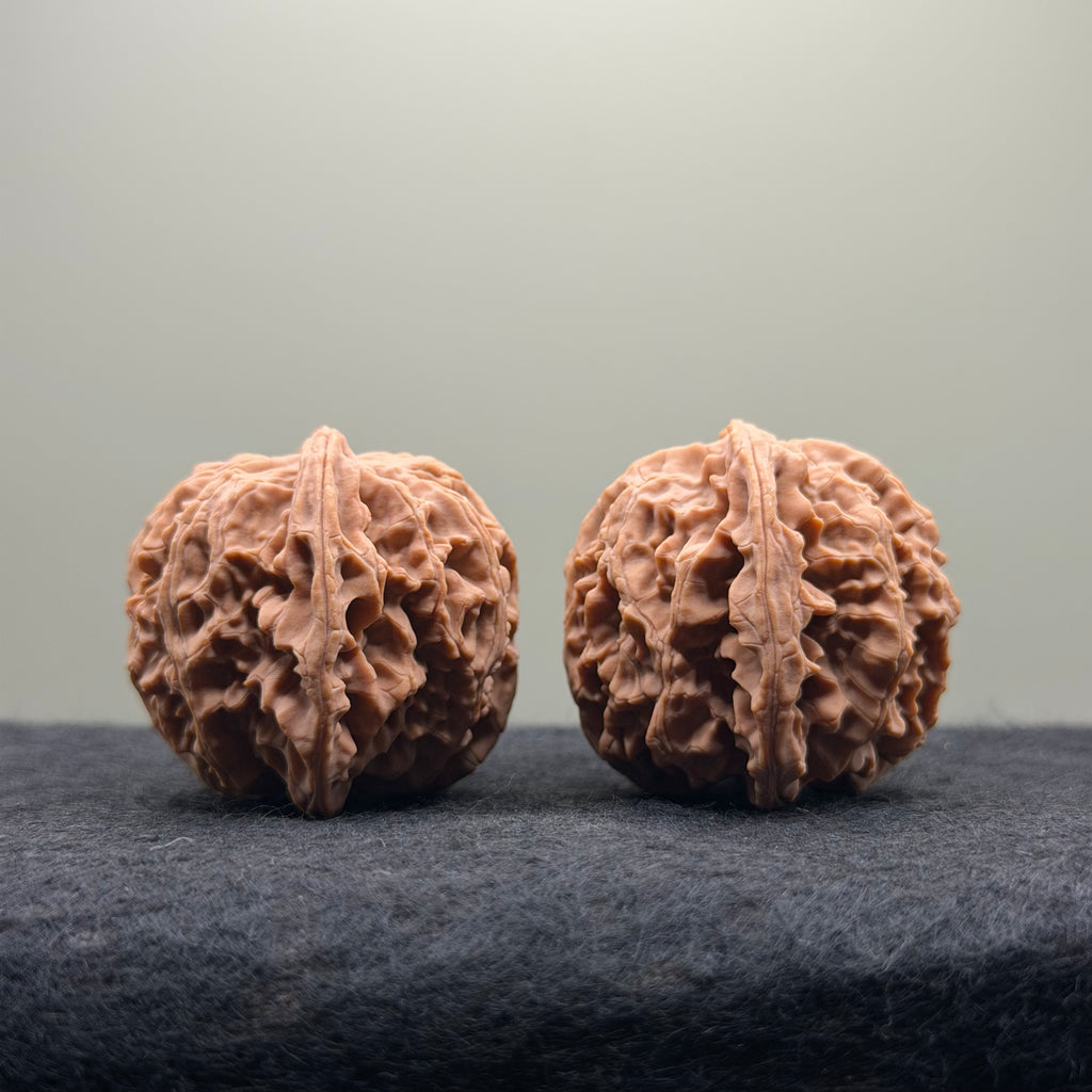 Apple Orchard Wenwan Walnut · 39mm · Natural · Select Ritual