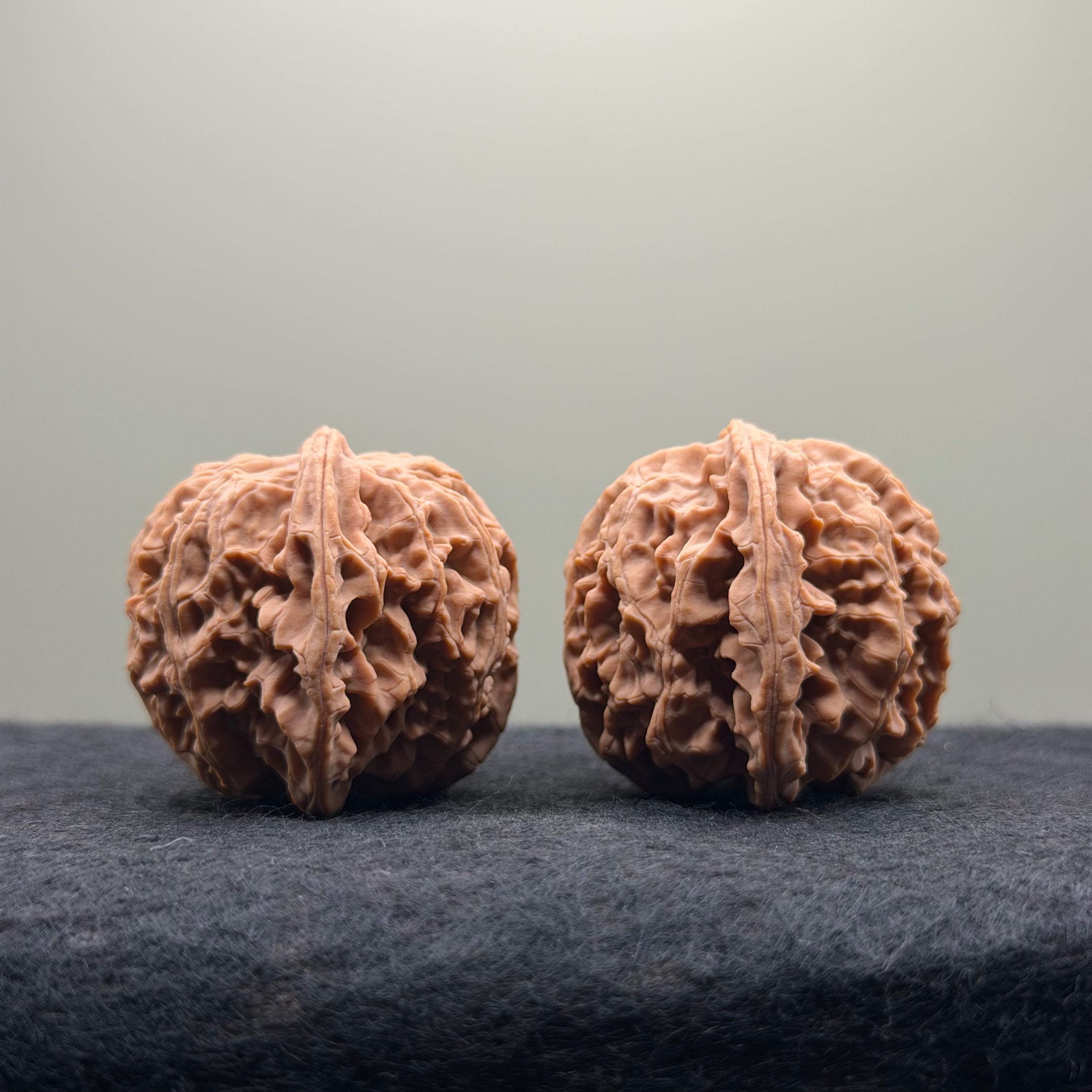 Apple Orchard Wenwan Walnut · 39mm · Natural · Select Ritual