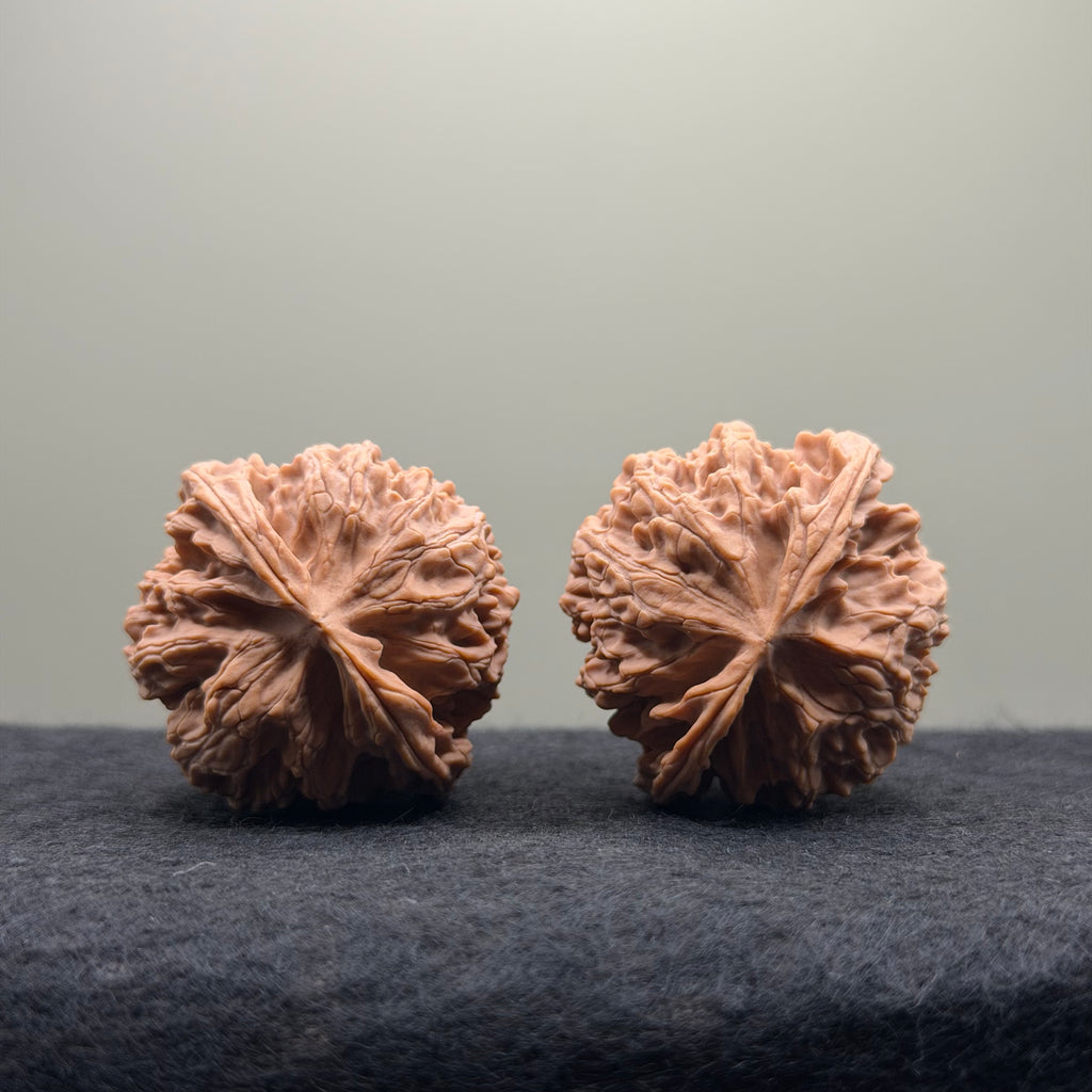 Apple Orchard Wenwan Walnut · 39mm · Natural · Select Ritual