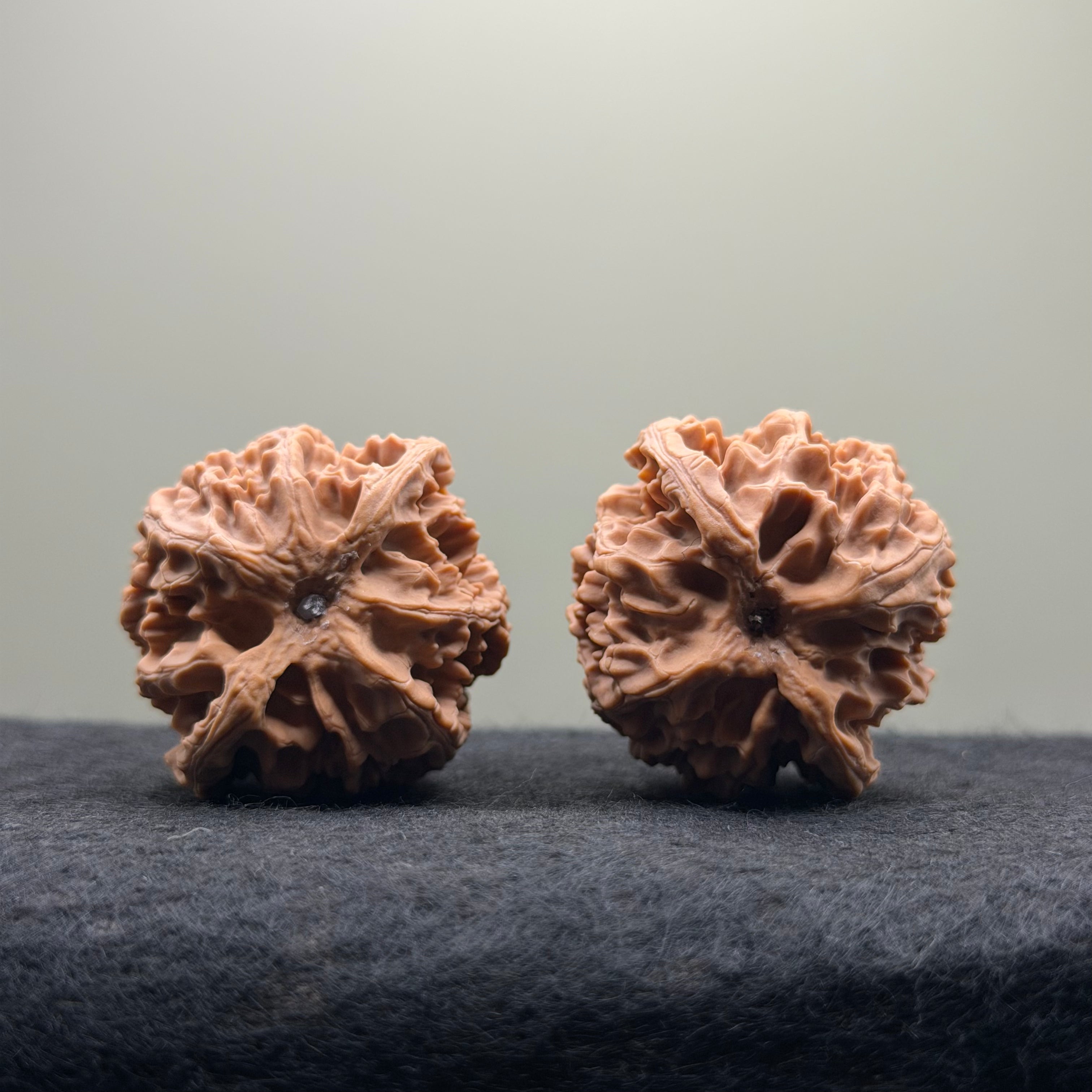 Apple Orchard Wenwan Walnut · 39mm · Natural · Select Ritual