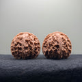 Apple Orchard Wenwan Walnut · 39mm · Natural · Select Ritual