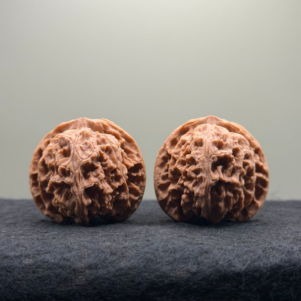 Apple Orchard Wenwan Walnut · 39mm · Natural · Select Ritual