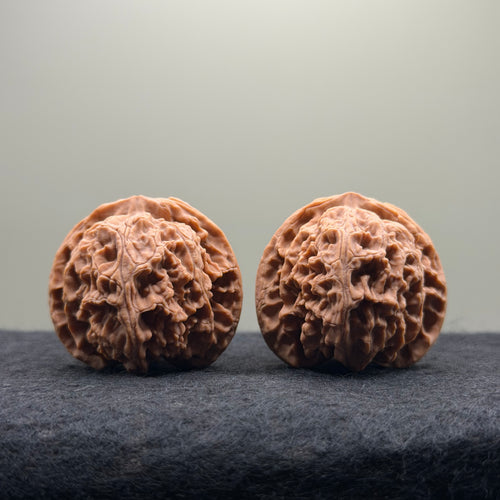 Apple Orchard Wenwan Walnut · 39mm · Natural · Select Ritual
