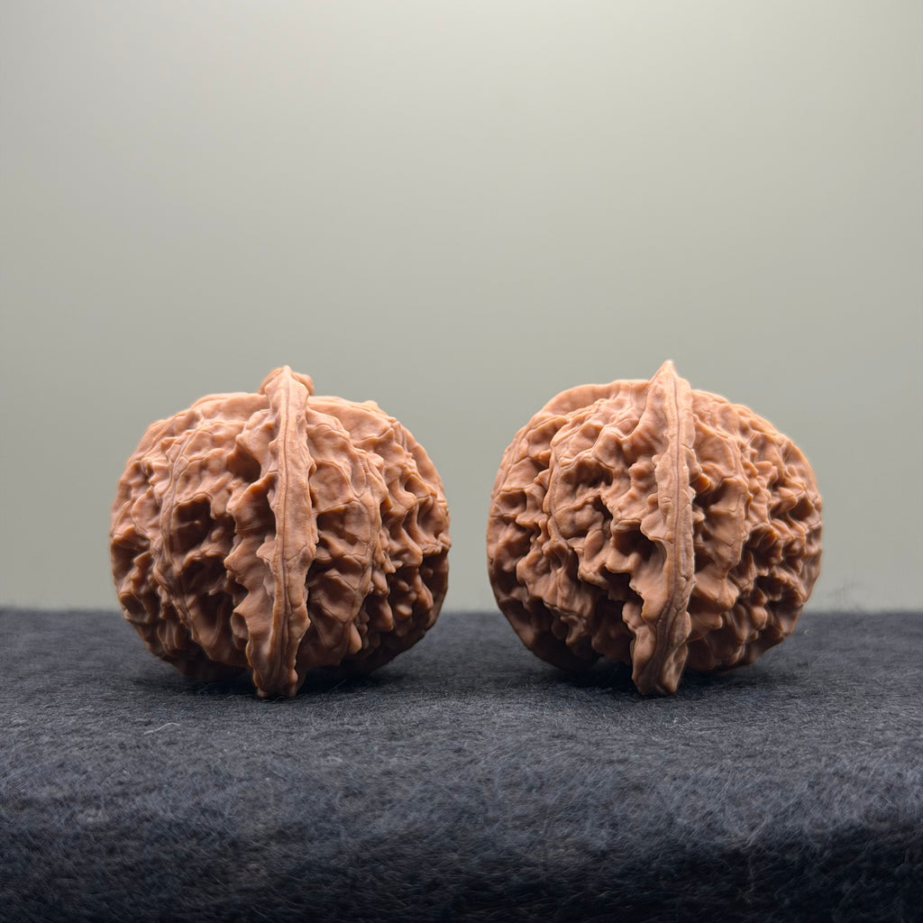 Apple Orchard Wenwan Walnut · 39mm · Natural · Select Ritual