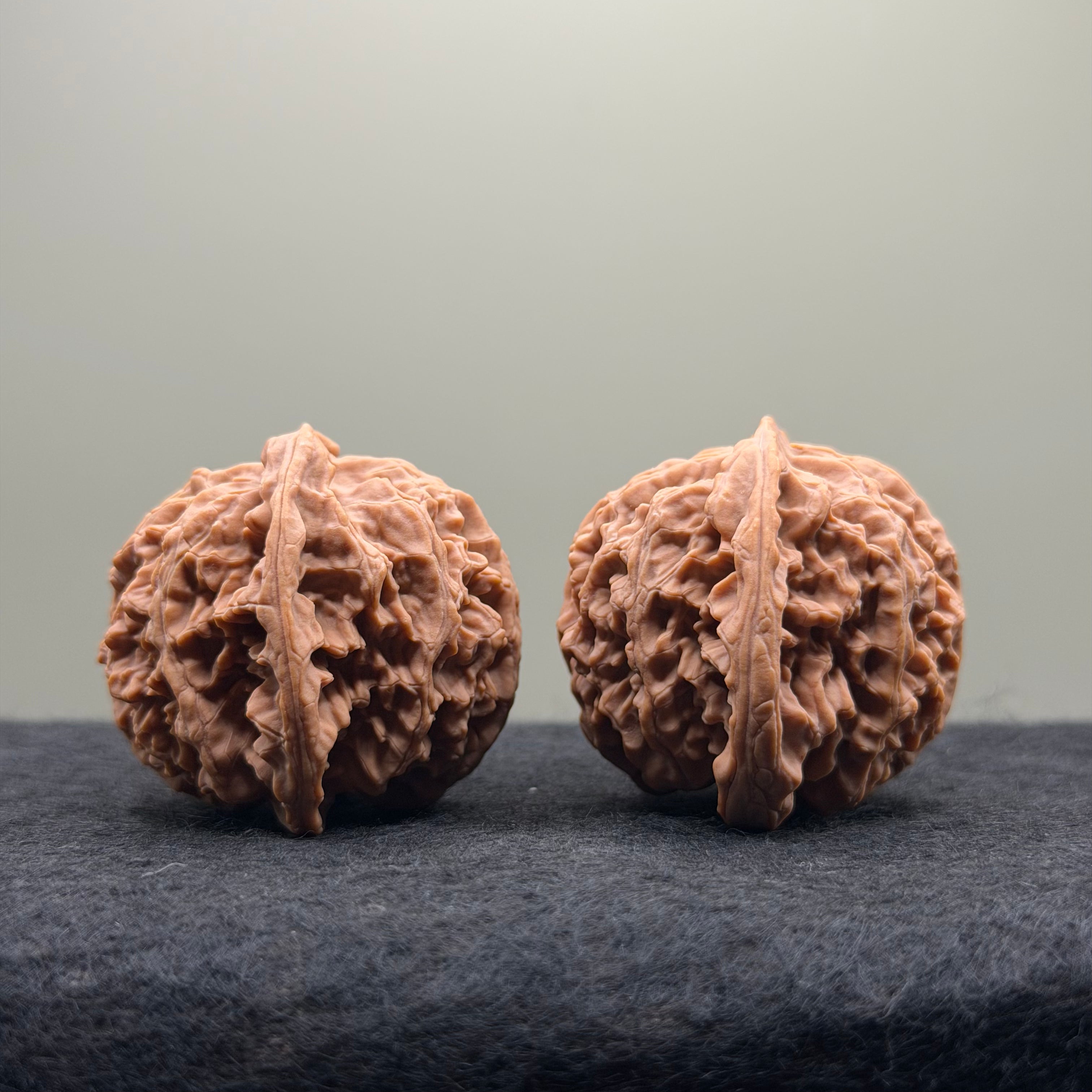 Apple Orchard Wenwan Walnut · 39mm · Natural · Select Ritual