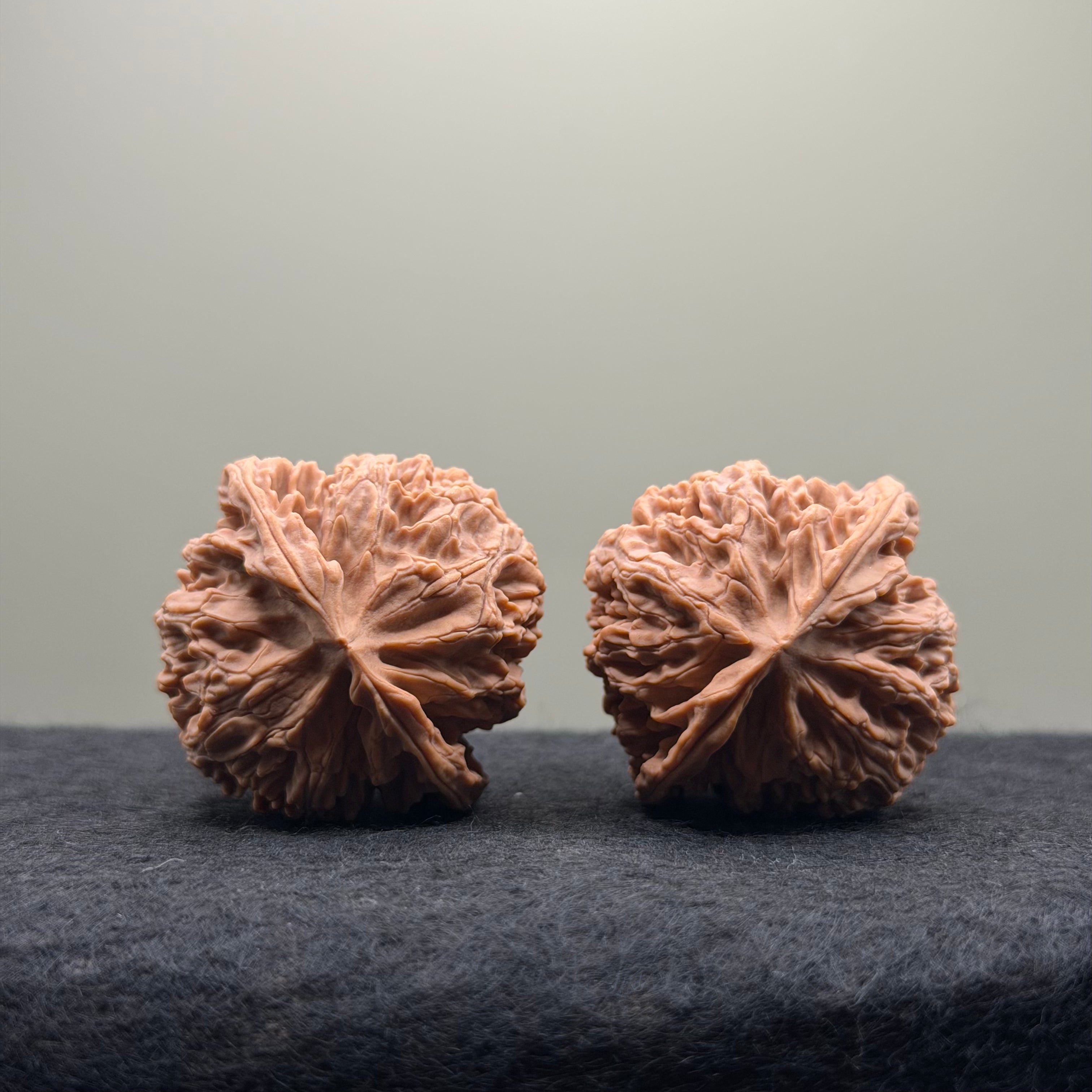 Apple Orchard Wenwan Walnut · 39mm · Natural · Select Ritual