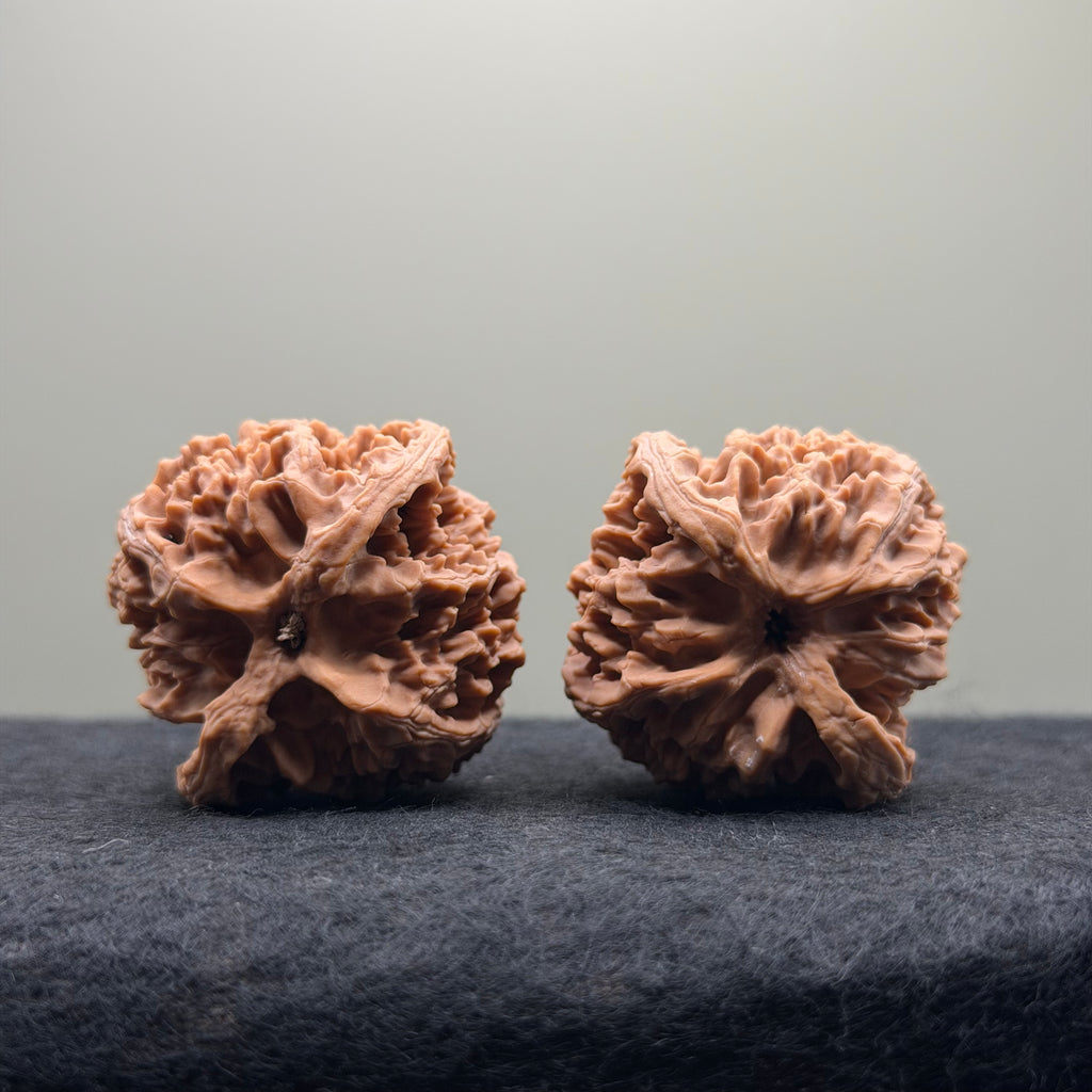 Apple Orchard Wenwan Walnut · 39mm · Natural · Select Ritual
