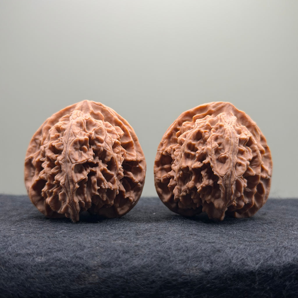 Apple Orchard Wenwan Walnut · 40mm · Natural · Select Ritual
