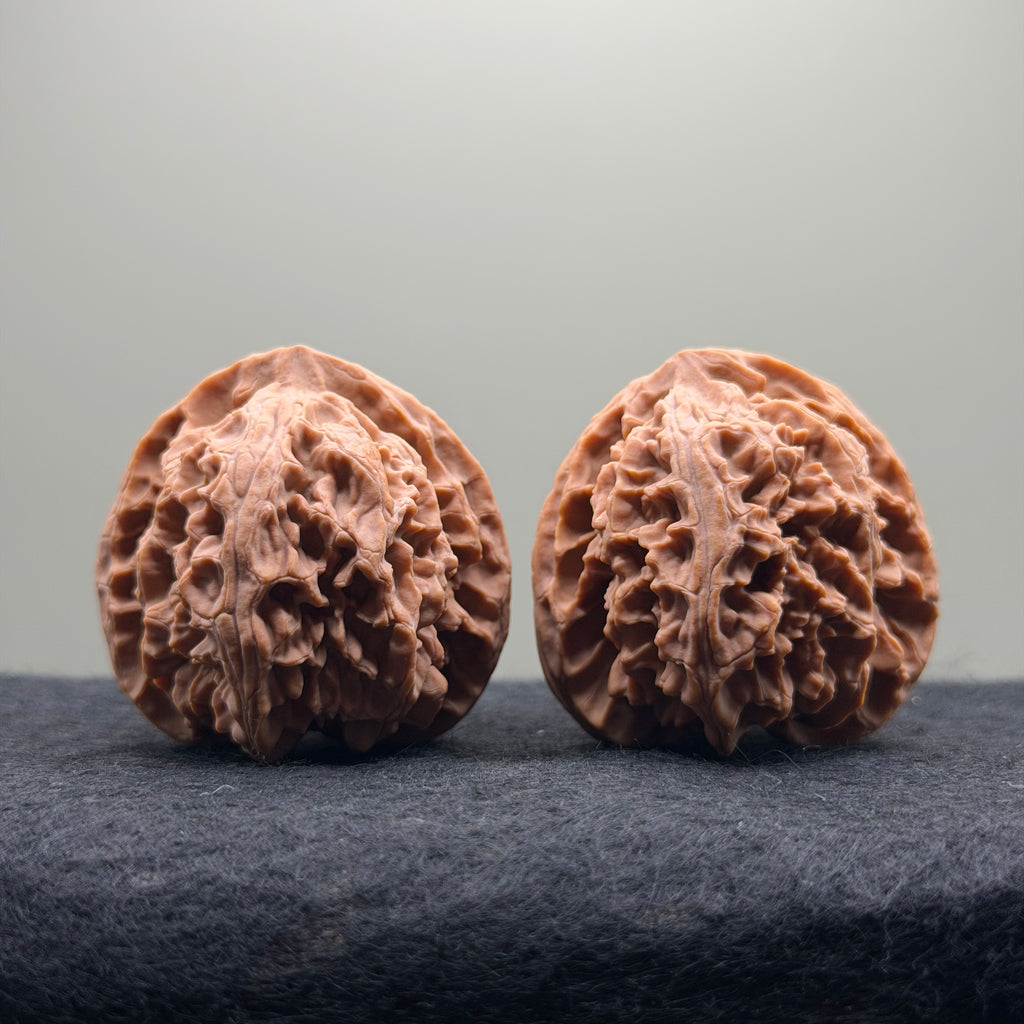 Apple Orchard Wenwan Walnut · 40mm · Natural · Select Ritual