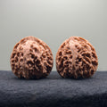 Apple Orchard Wenwan Walnut · 40mm · Natural · Select Ritual