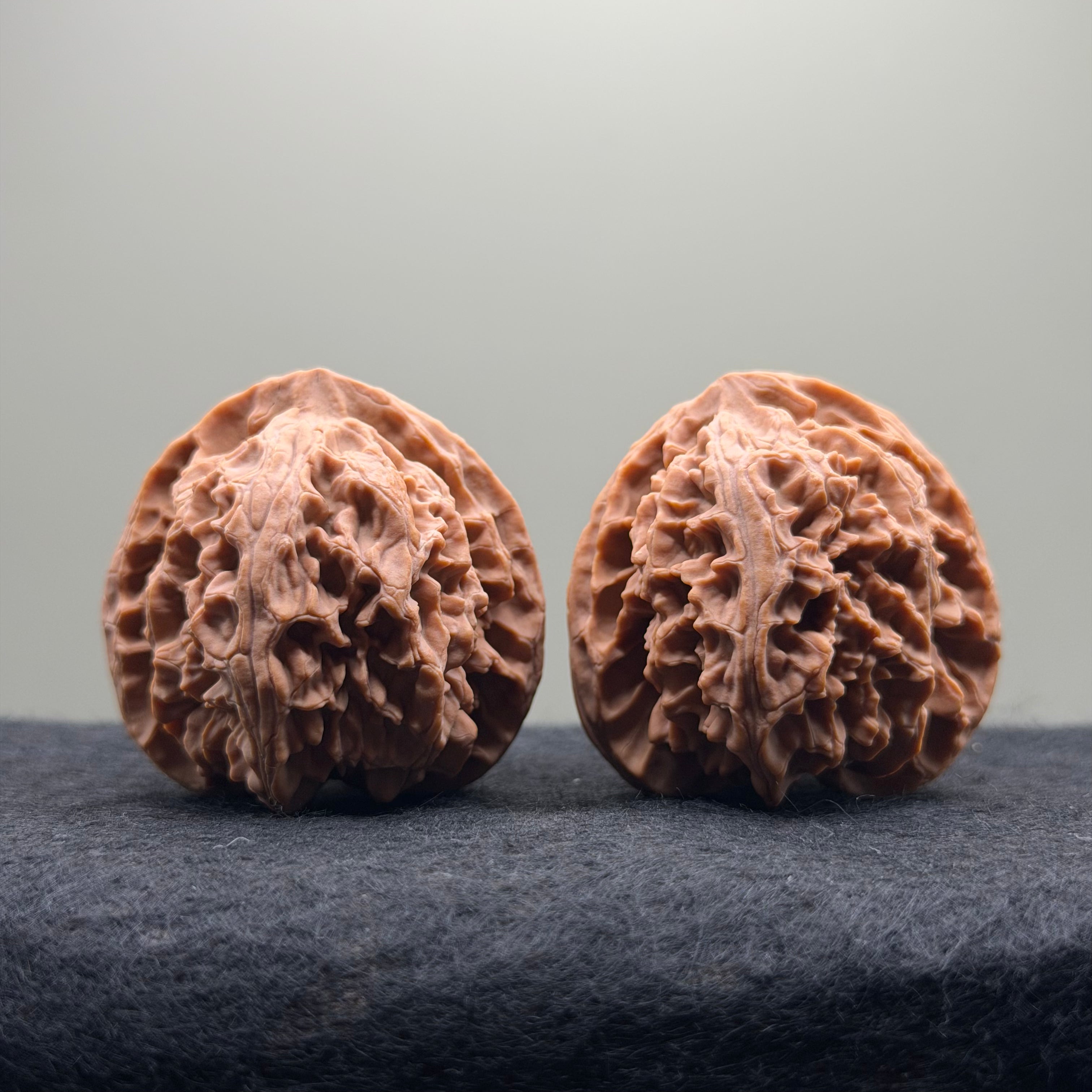 Apple Orchard Wenwan Walnut · 40mm · Natural · Select Ritual