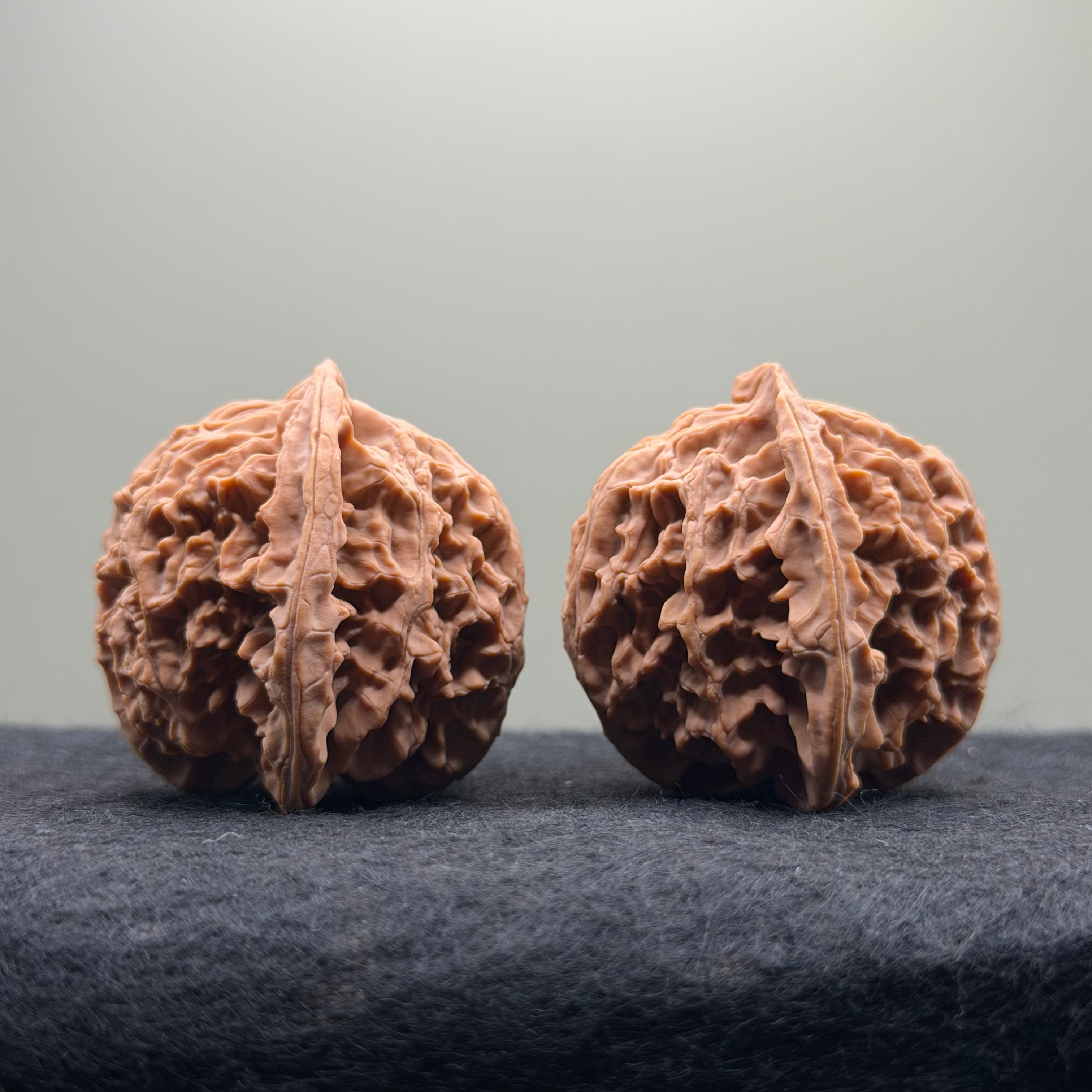 Apple Orchard Wenwan Walnut · 40mm · Natural · Select Ritual