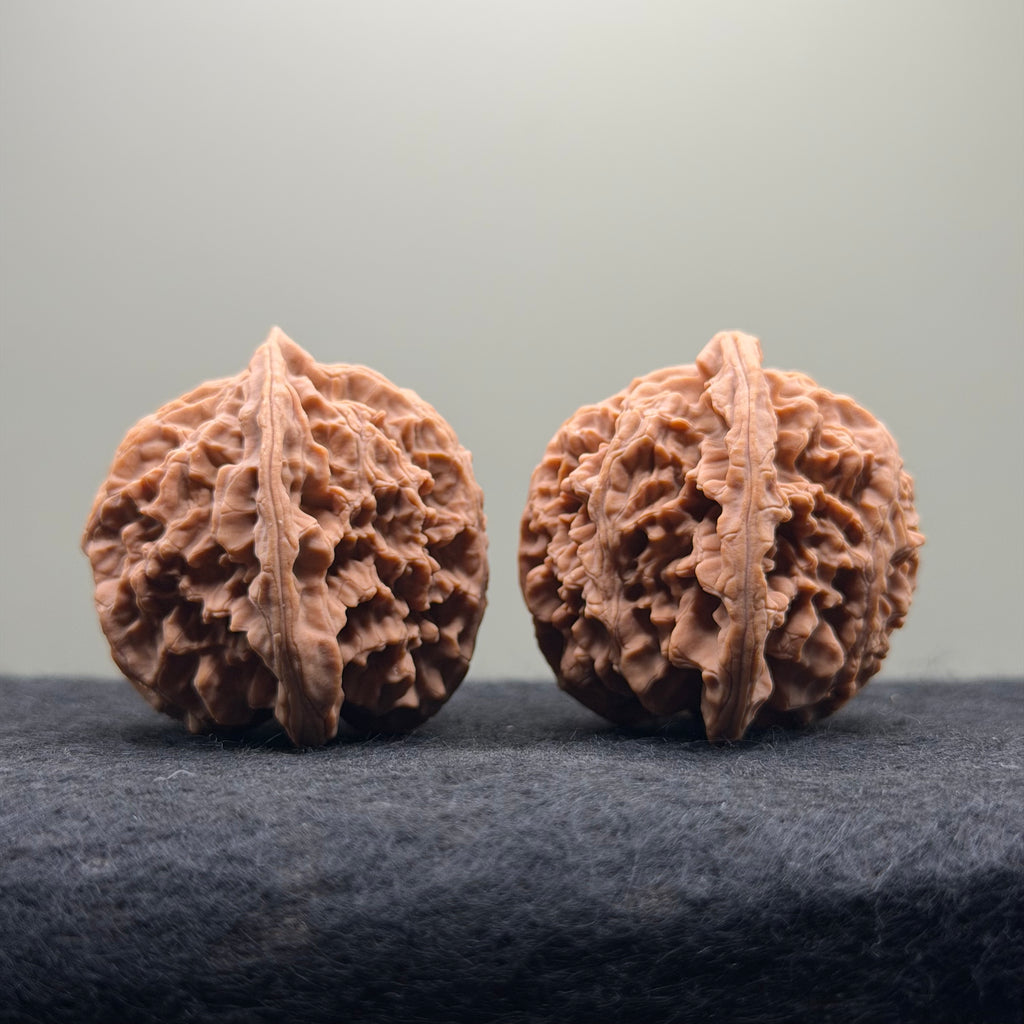 Apple Orchard Wenwan Walnut · 40mm · Natural · Select Ritual