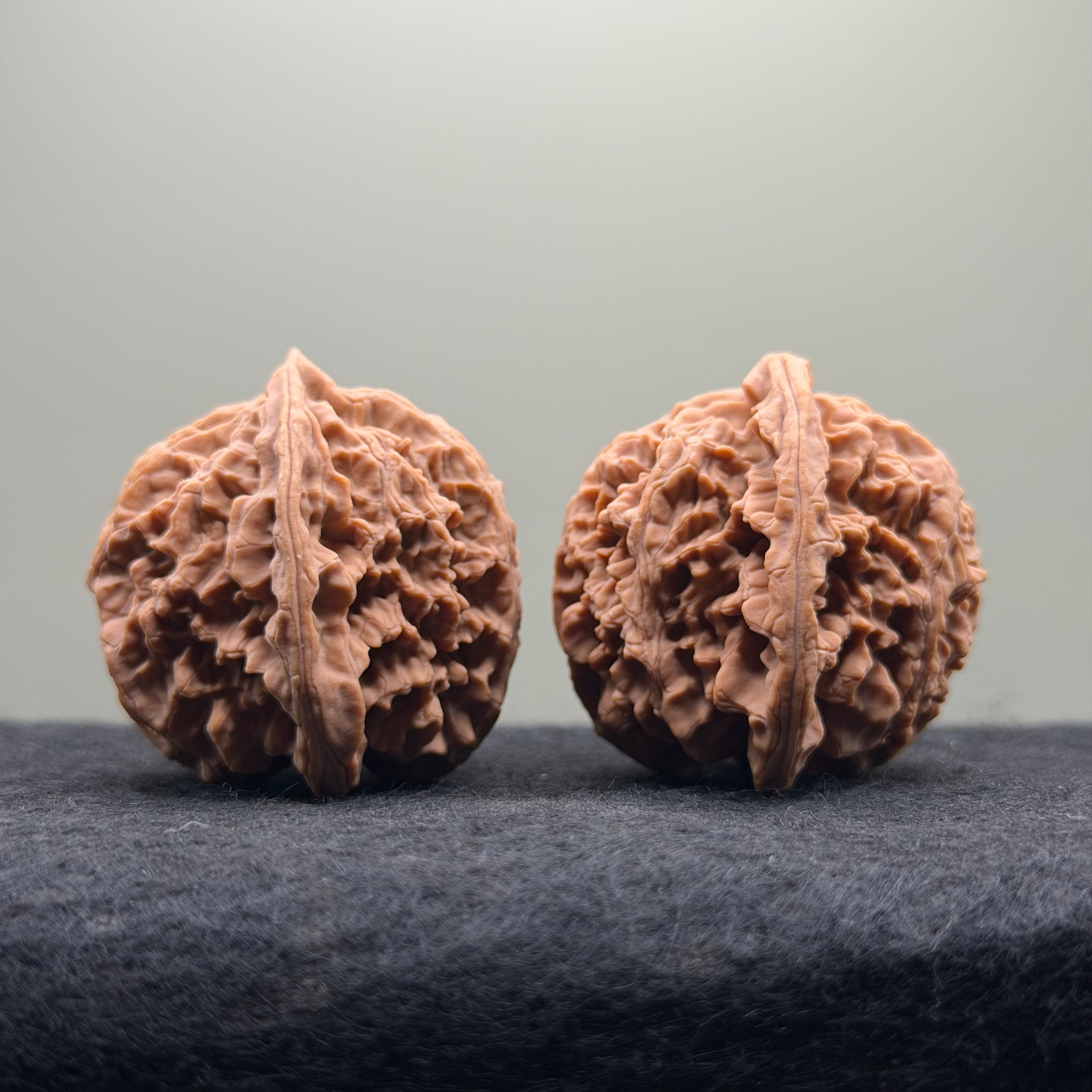 Apple Orchard Wenwan Walnut · 40mm · Natural · Select Ritual