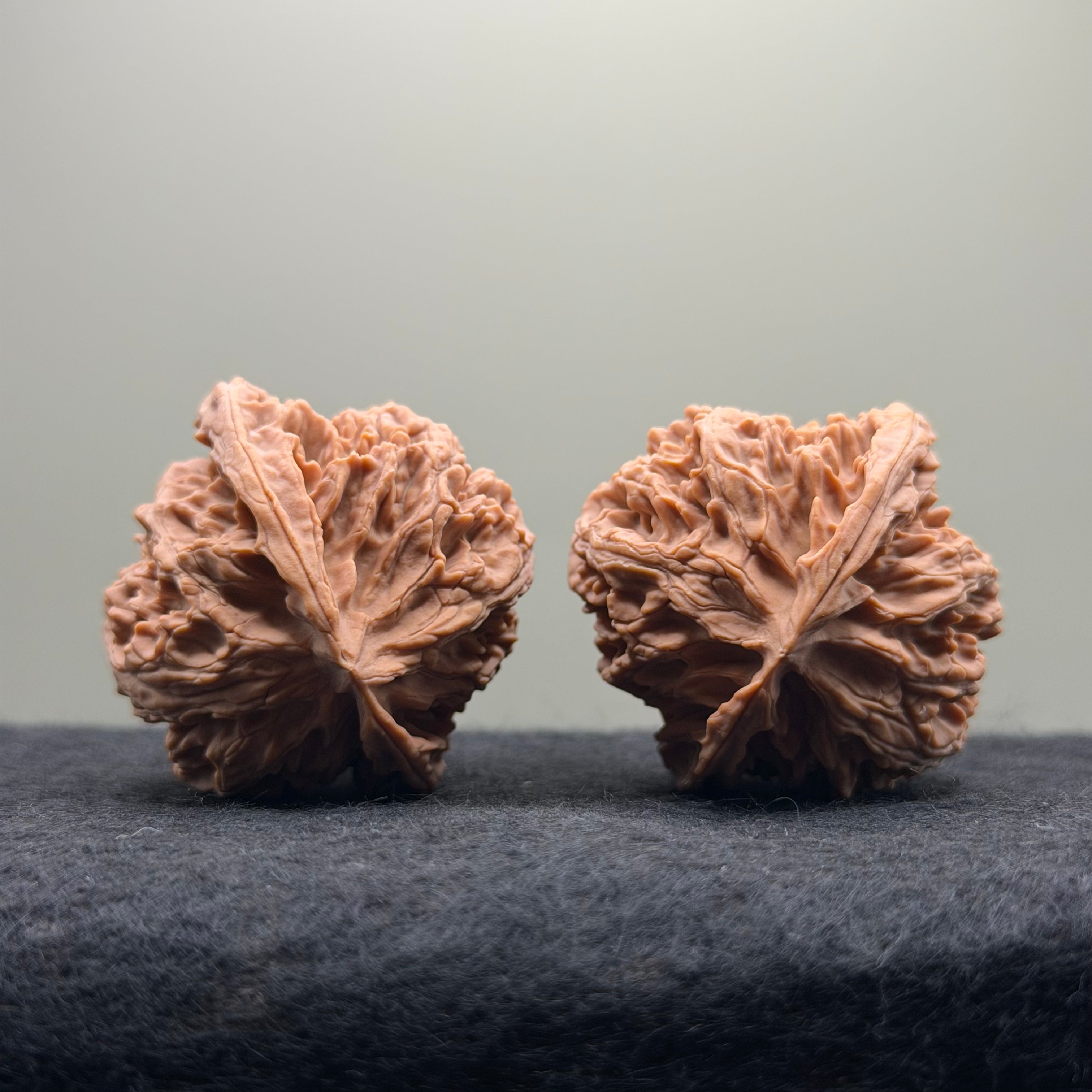 Apple Orchard Wenwan Walnut · 40mm · Natural · Select Ritual