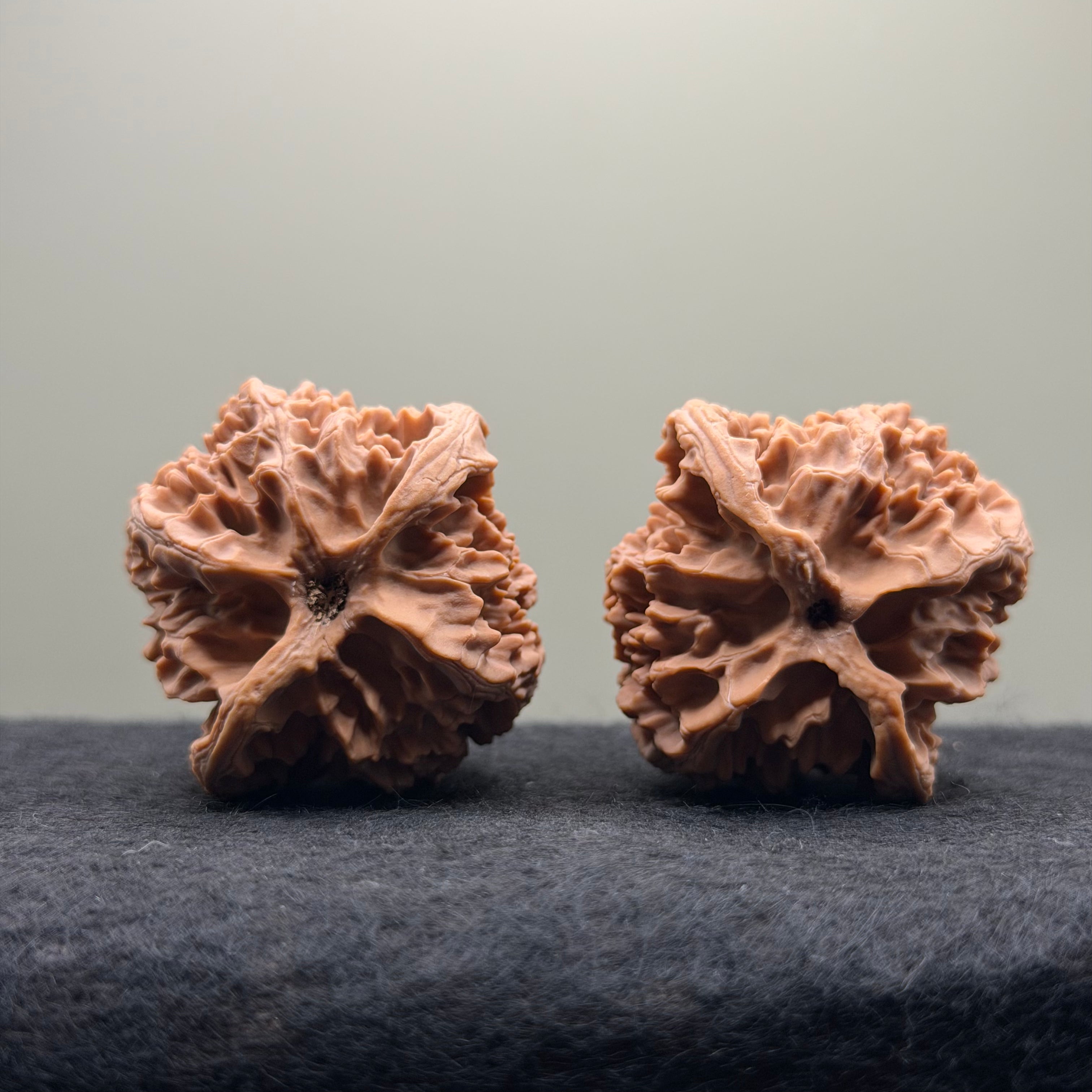 Apple Orchard Wenwan Walnut · 40mm · Natural · Select Ritual