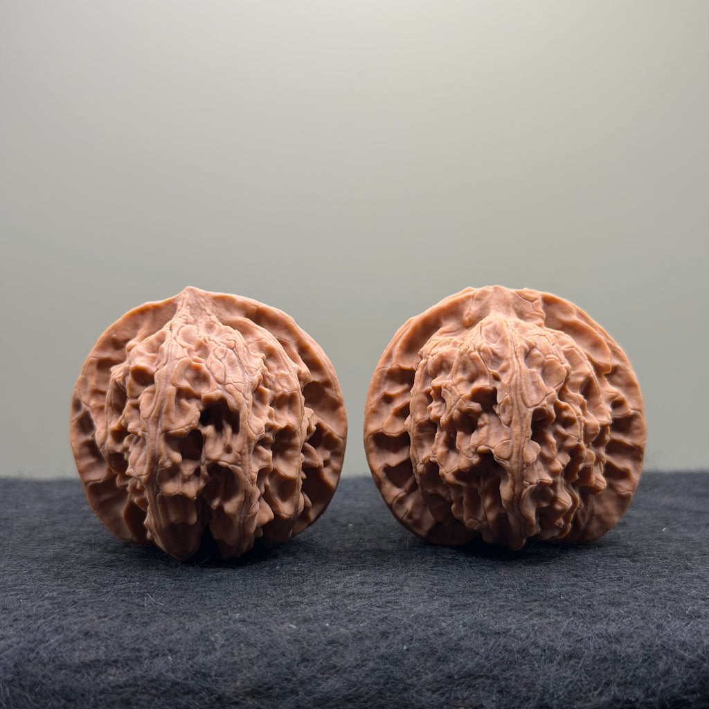 Apple Orchard Wenwan Walnut · 40mm · Natural · Select Ritual