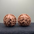 Apple Orchard Wenwan Walnut · 40mm · Natural · Select Ritual