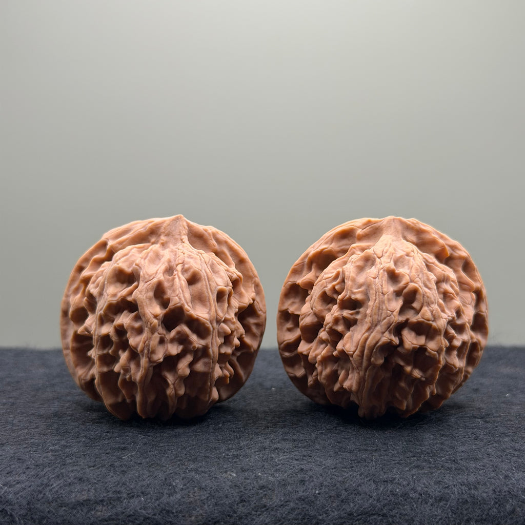 Apple Orchard Wenwan Walnut · 40mm · Natural · Select Ritual