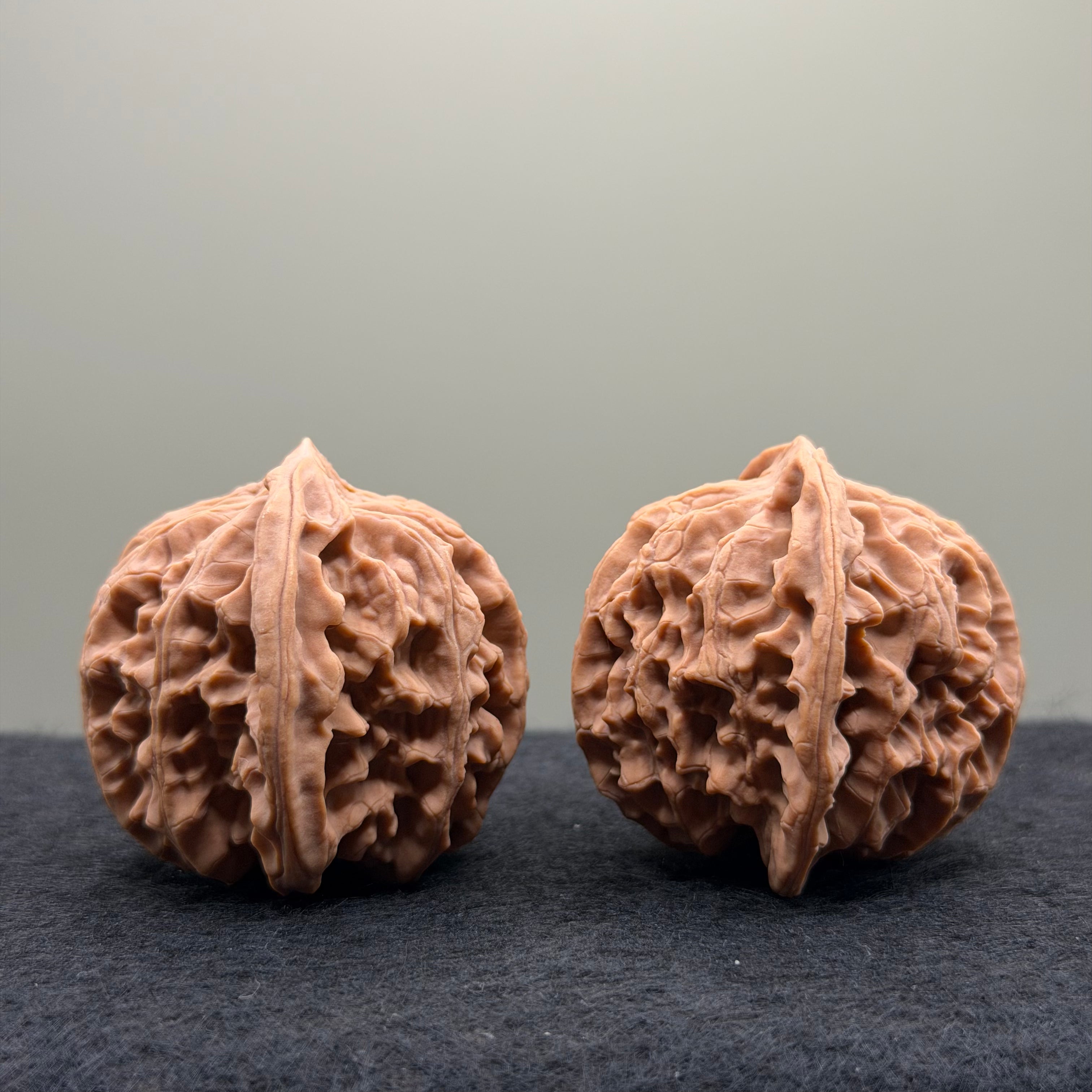 Apple Orchard Wenwan Walnut · 40mm · Natural · Select Ritual