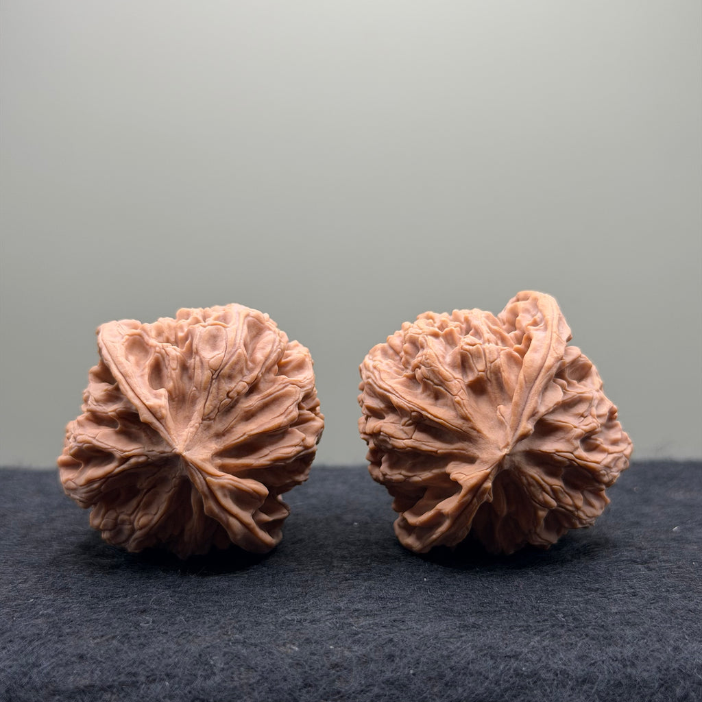 Apple Orchard Wenwan Walnut · 40mm · Natural · Select Ritual