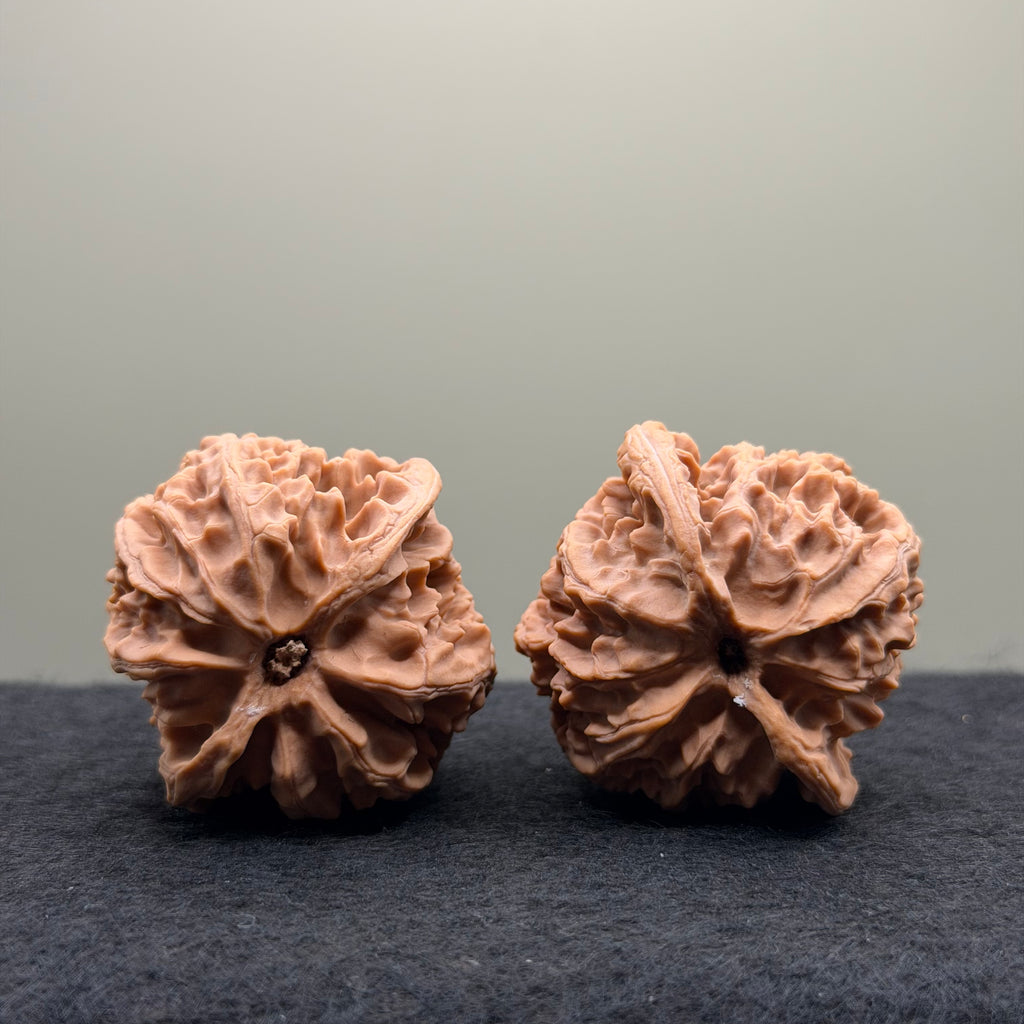 Apple Orchard Wenwan Walnut · 40mm · Natural · Select Ritual