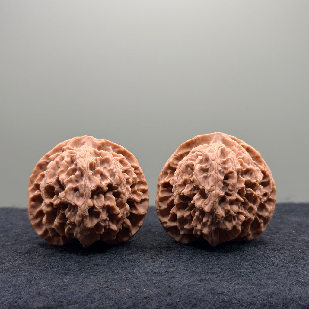 Apple Orchard Wenwan Walnut · 40mm · Natural · Select Ritual