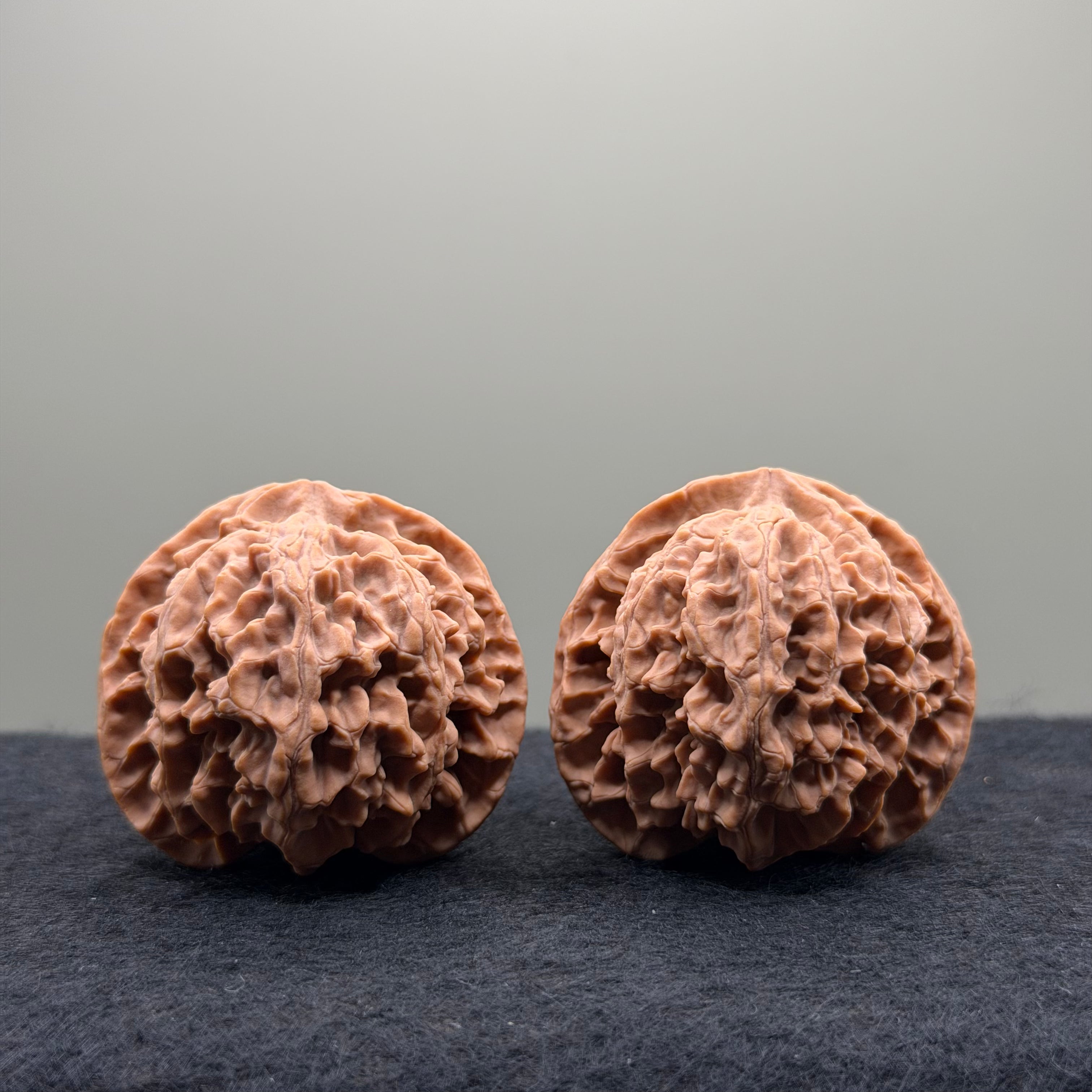 Apple Orchard Wenwan Walnut · 40mm · Natural · Select Ritual