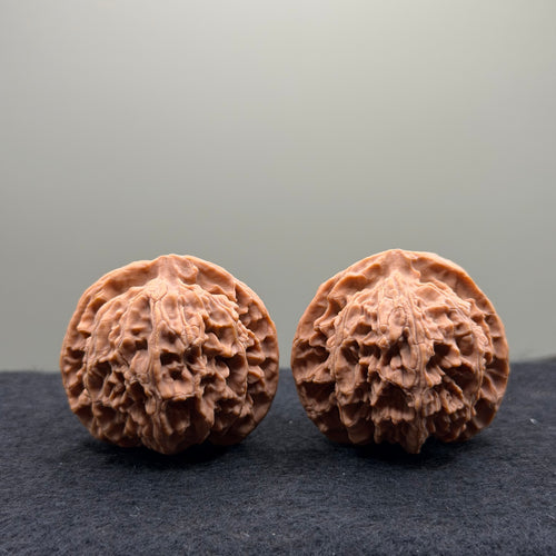 Apple Orchard Wenwan Walnut · 40mm · Natural · Select Ritual