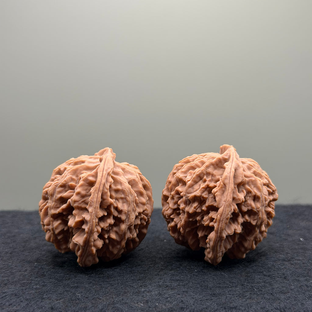 Apple Orchard Wenwan Walnut · 40mm · Natural · Select Ritual