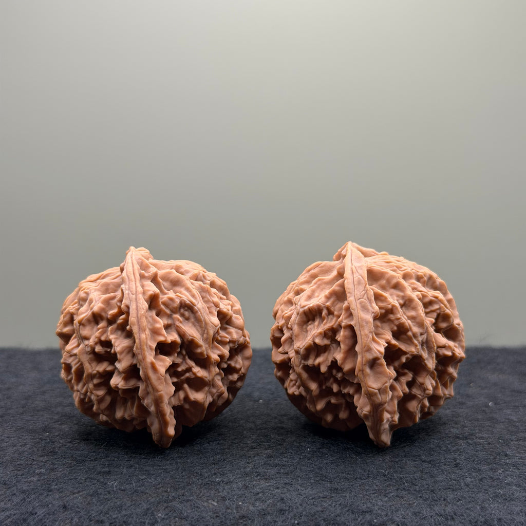 Apple Orchard Wenwan Walnut · 40mm · Natural · Select Ritual