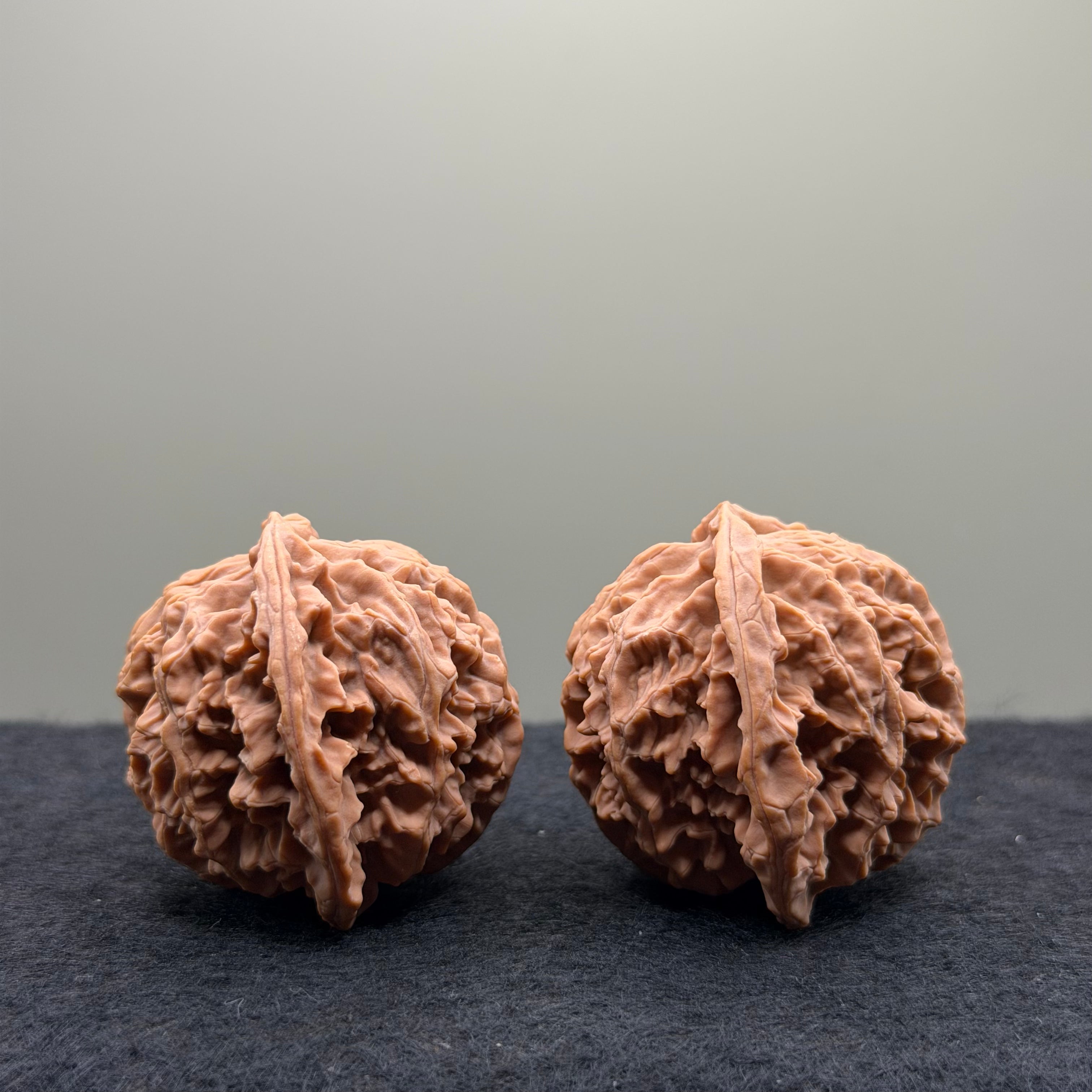Apple Orchard Wenwan Walnut · 40mm · Natural · Select Ritual