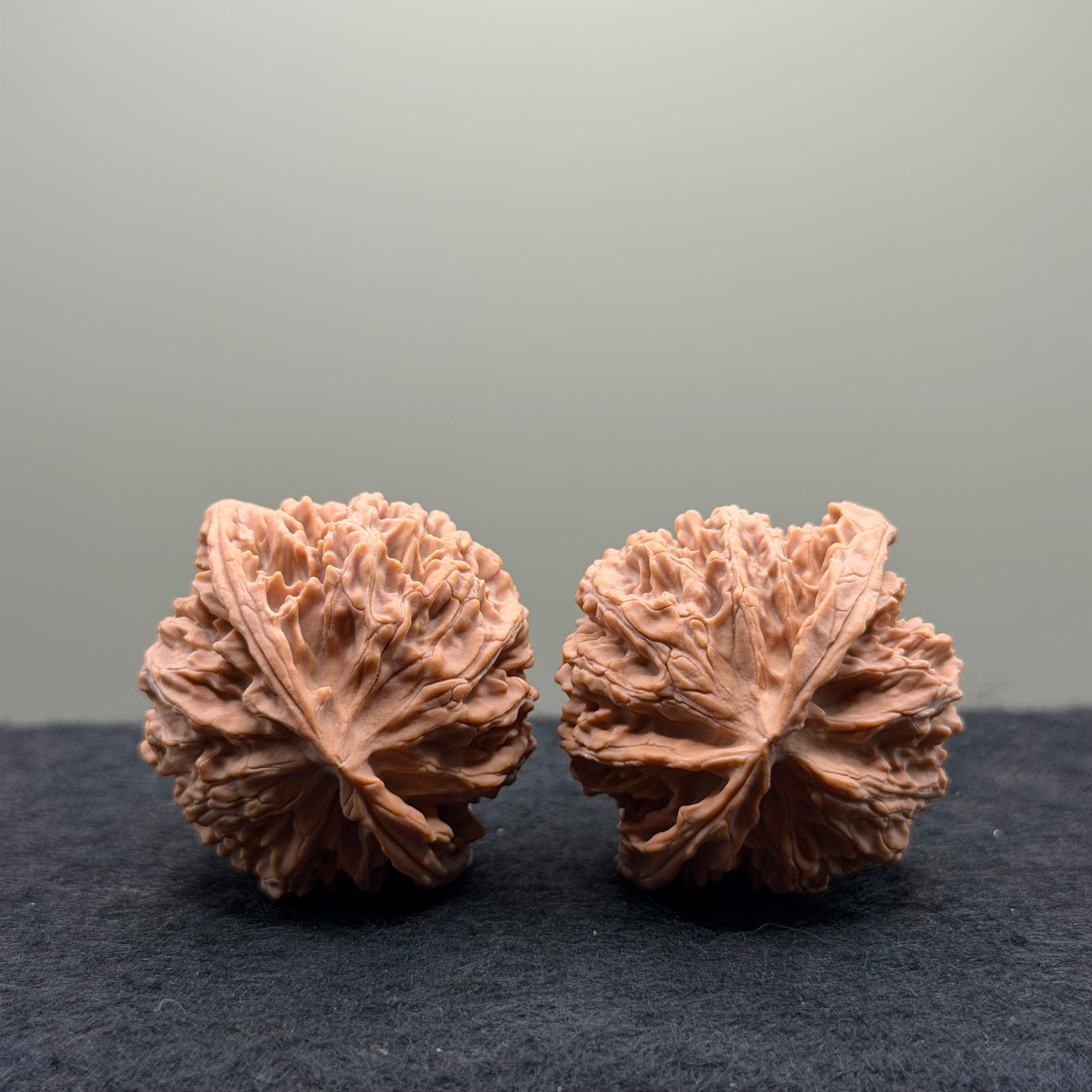 Apple Orchard Wenwan Walnut · 40mm · Natural · Select Ritual