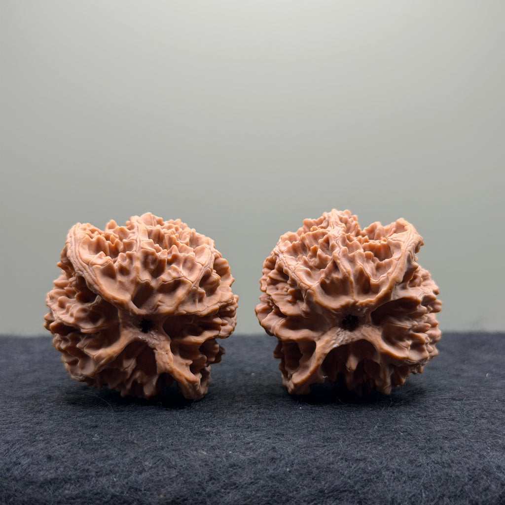 Apple Orchard Wenwan Walnut · 40mm · Natural · Select Ritual