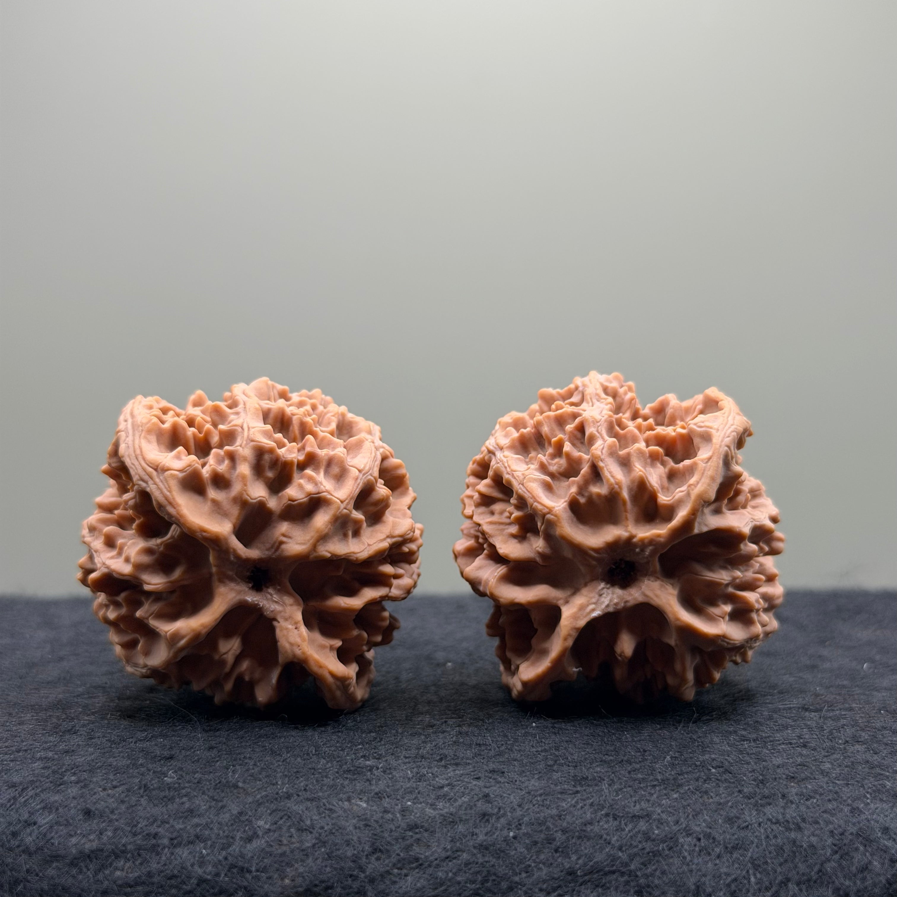 Apple Orchard Wenwan Walnut · 40mm · Natural · Select Ritual