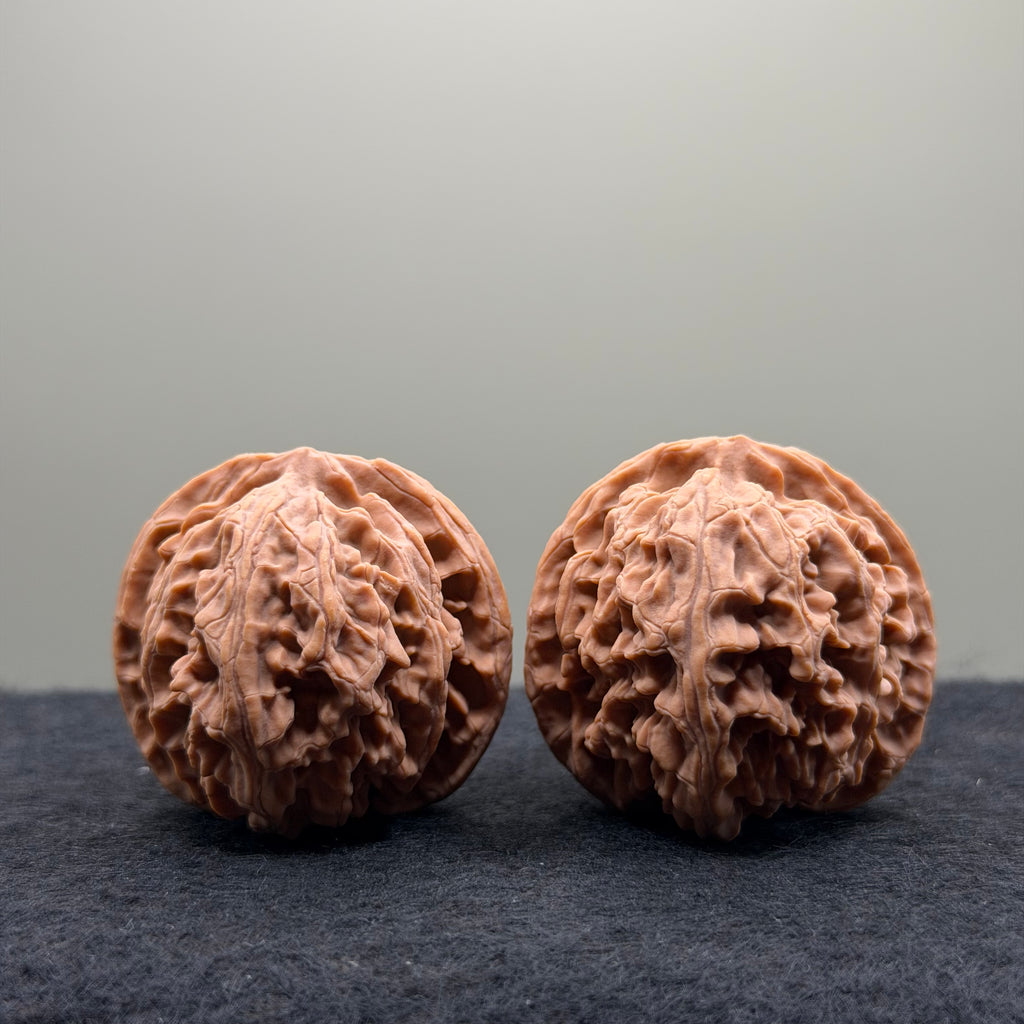 Apple Orchard Wenwan Walnut