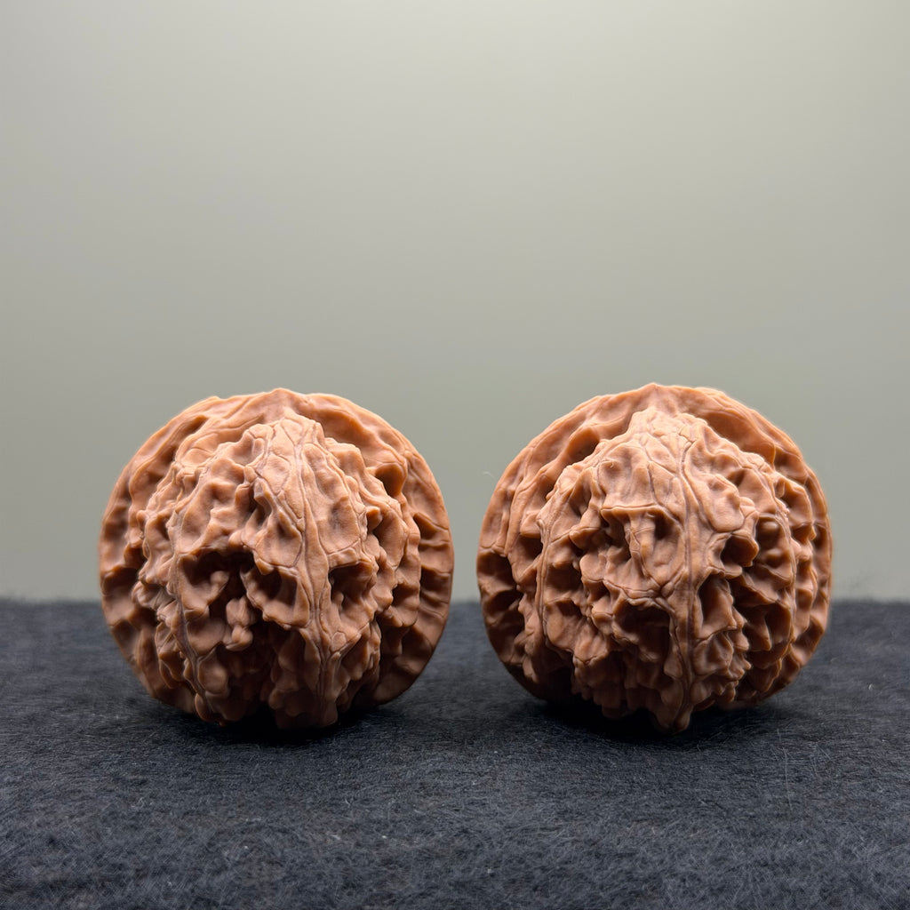 Apple Orchard Wenwan Walnut