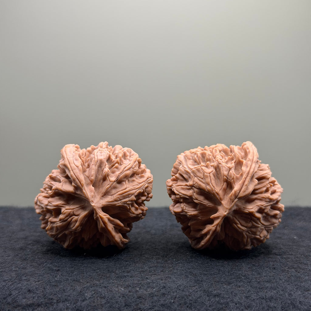 Apple Orchard Wenwan Walnut