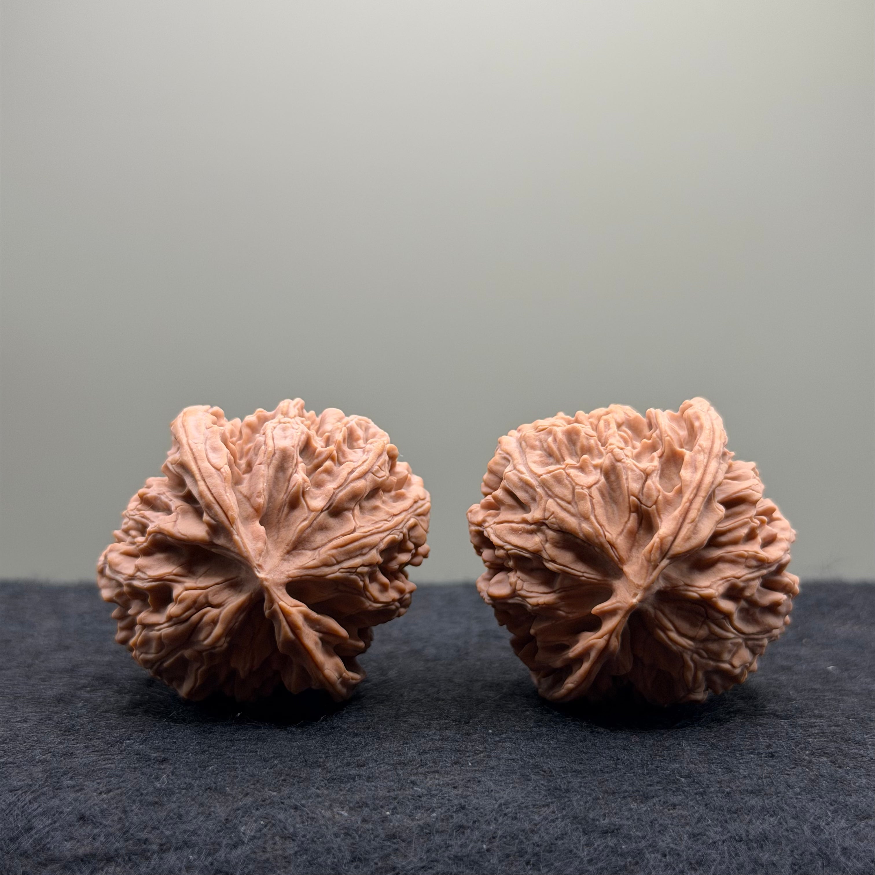 Apple Orchard Wenwan Walnut