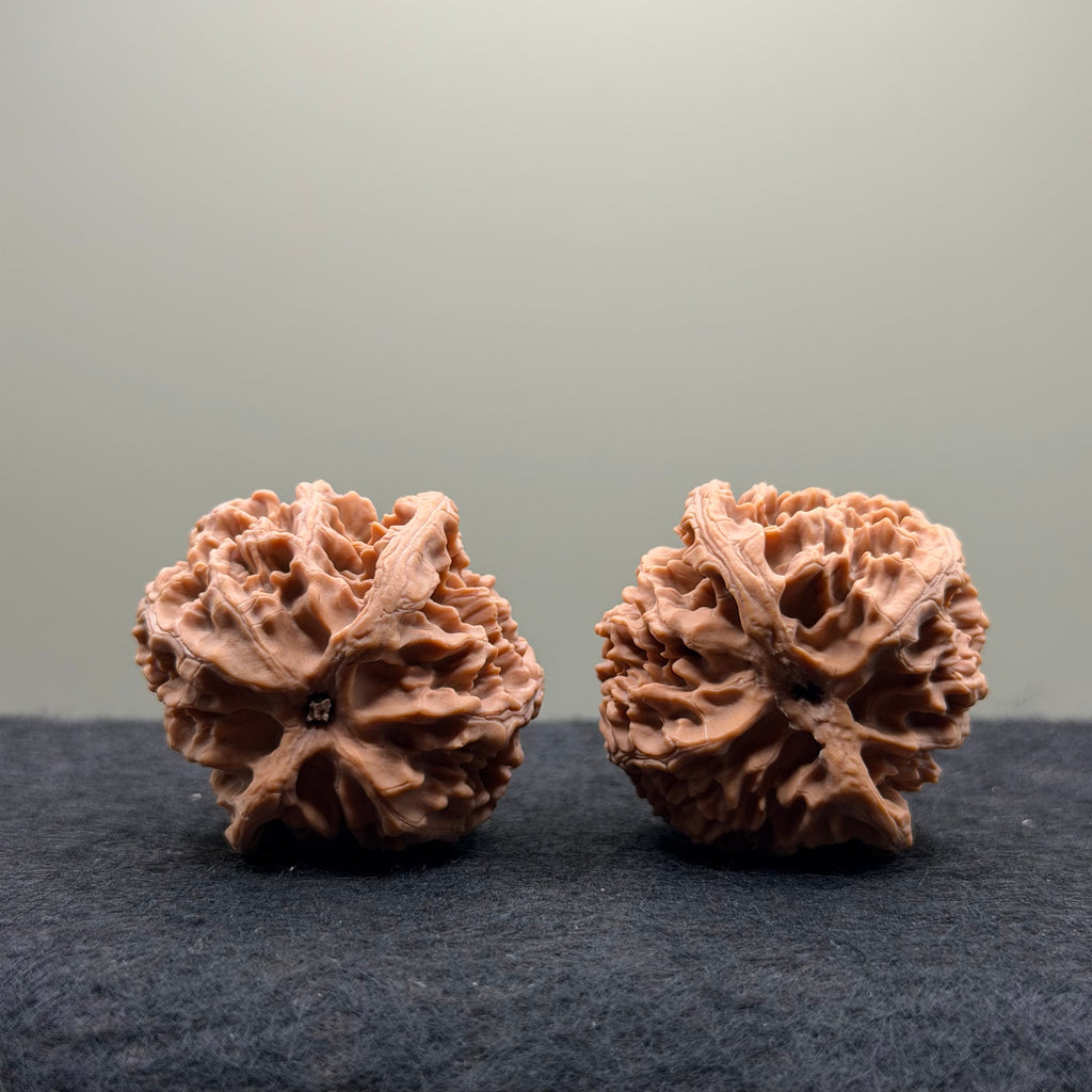 Apple Orchard Wenwan Walnut
