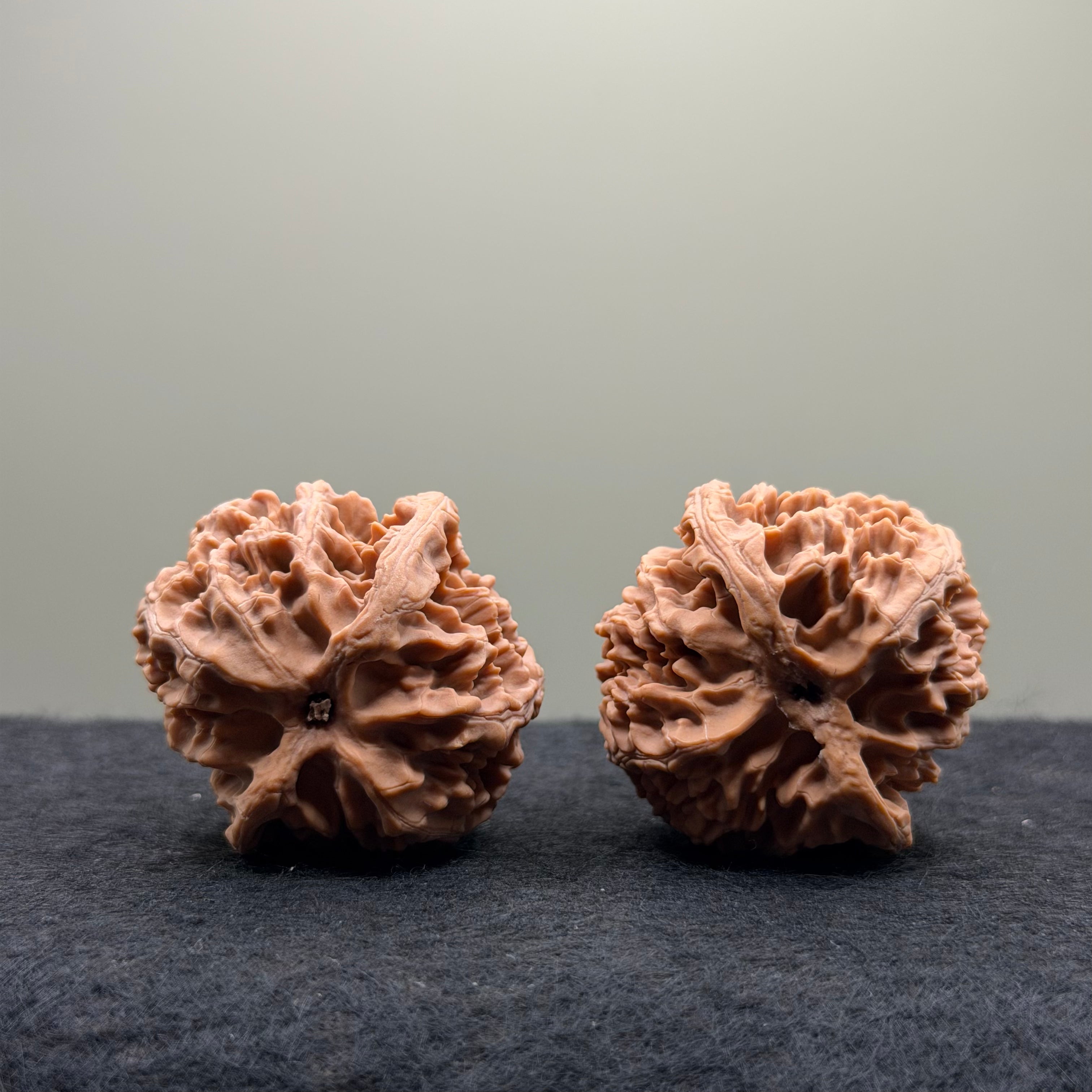Apple Orchard Wenwan Walnut
