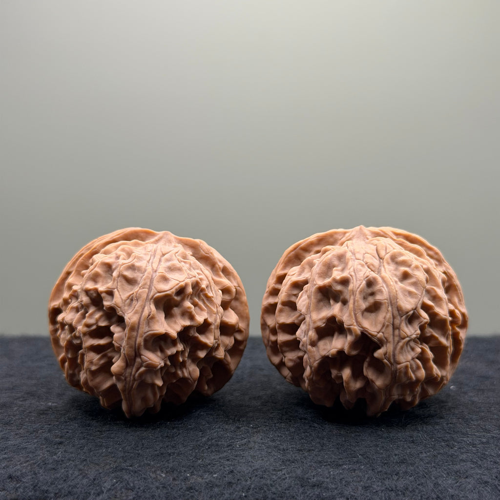 Apple Orchard Wenwan Walnut