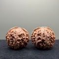 Apple Orchard Wenwan Walnut
