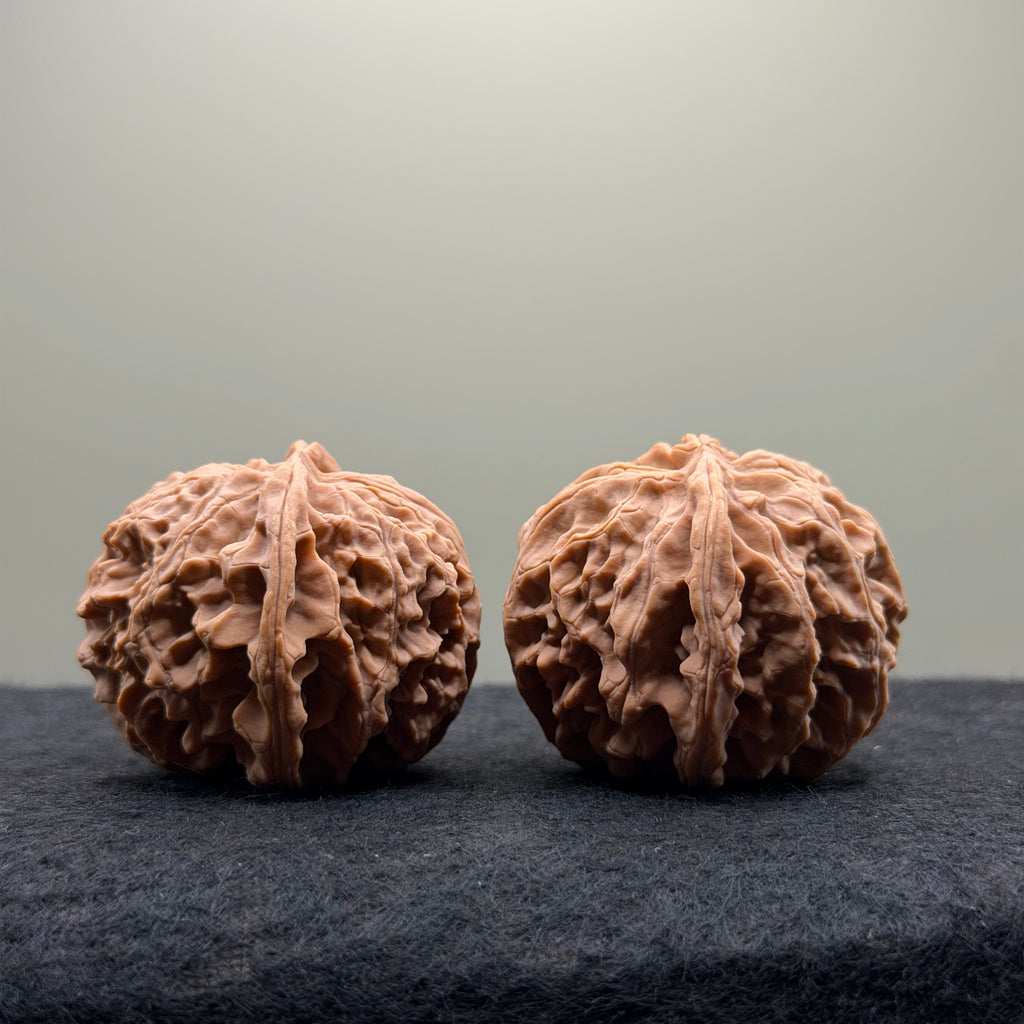 Apple Orchard Wenwan Walnut