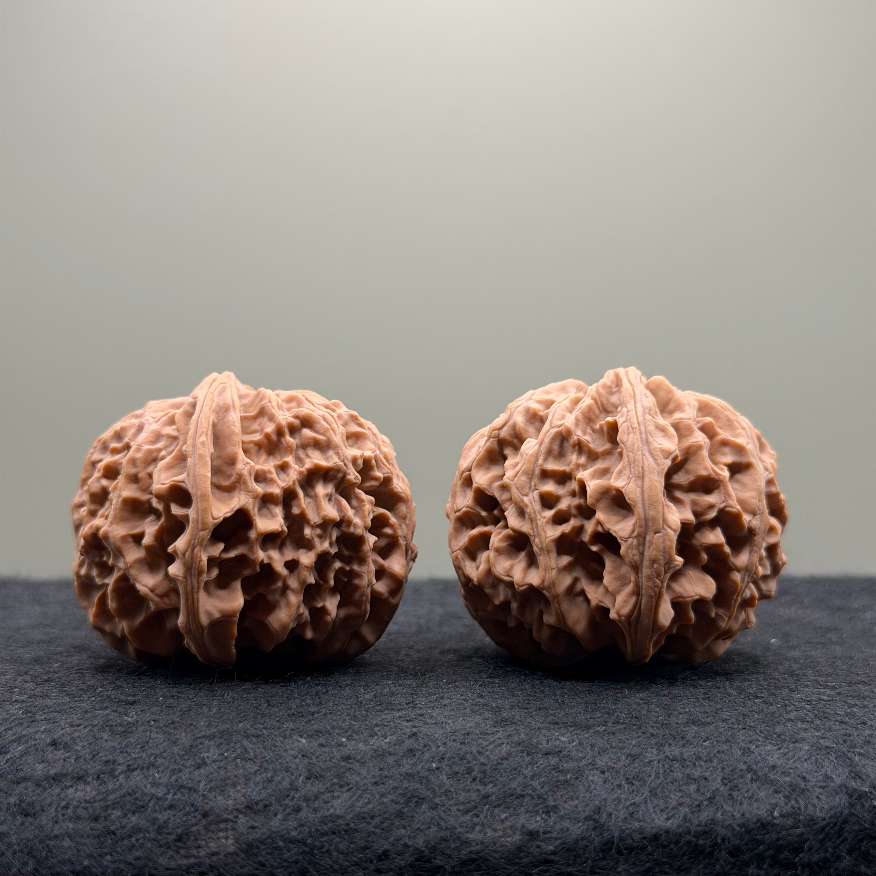 Apple Orchard Wenwan Walnut