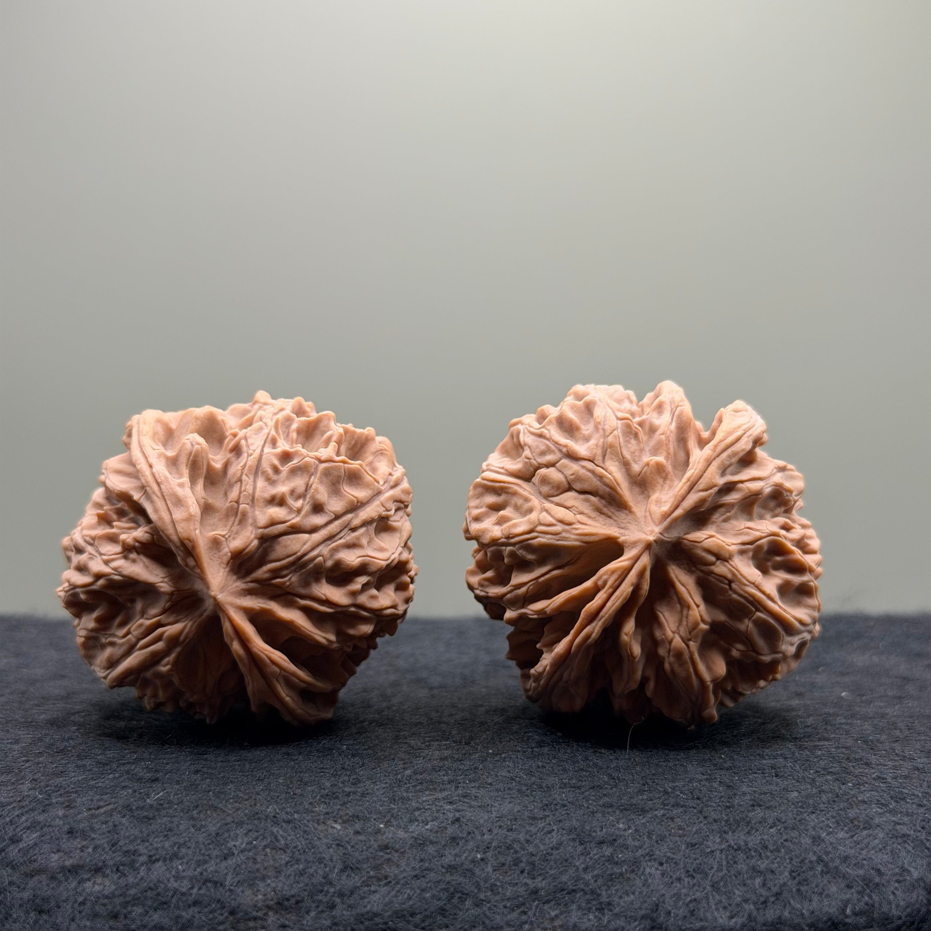 Apple Orchard Wenwan Walnut