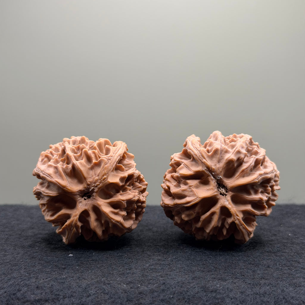 Apple Orchard Wenwan Walnut