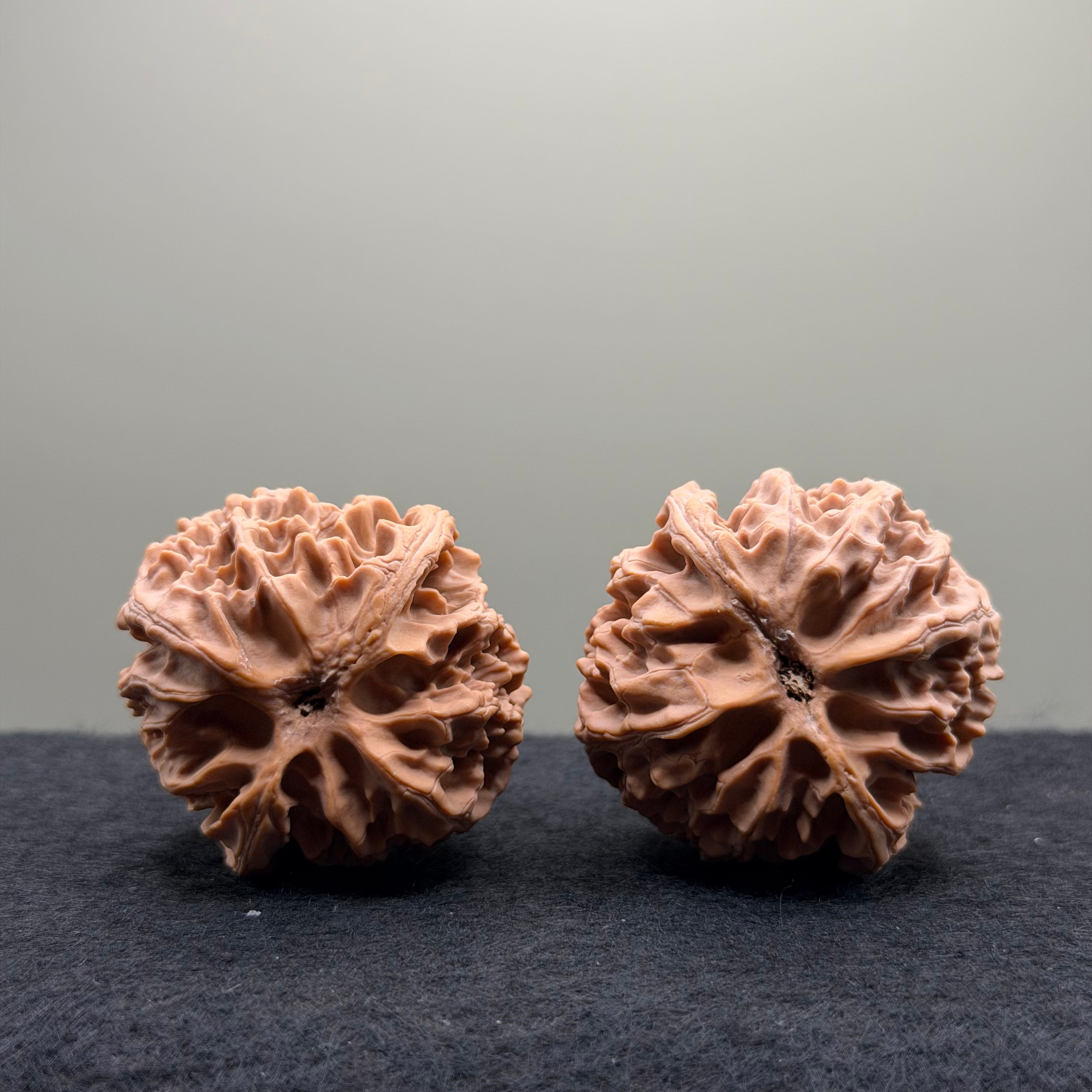 Apple Orchard Wenwan Walnut